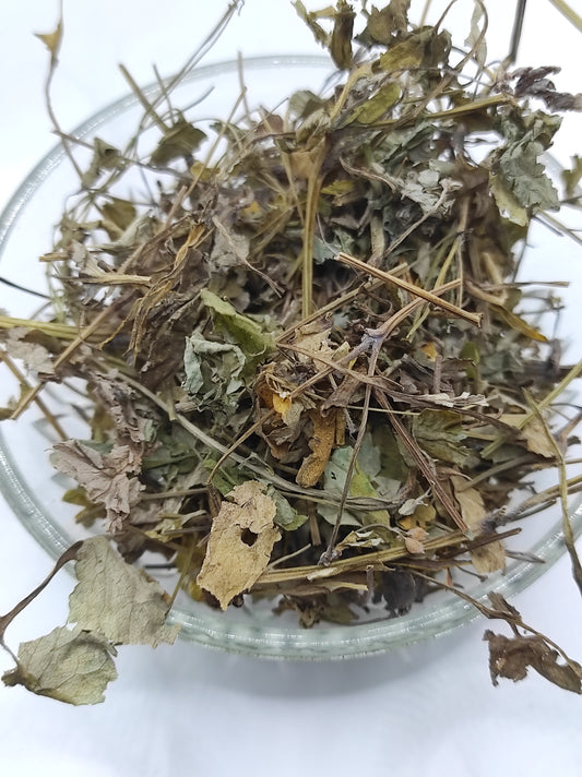 Greater Celandine Dried Herb ORGANIC Tea Chelidonium Majus