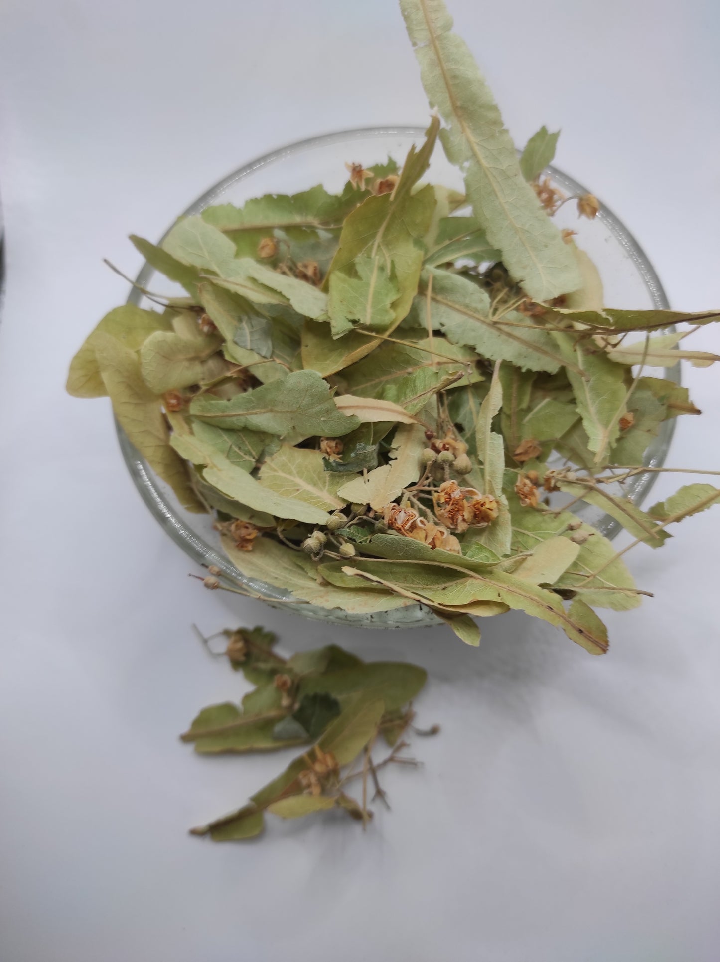Linden flower bay Tilia Organic dried tea herb bio