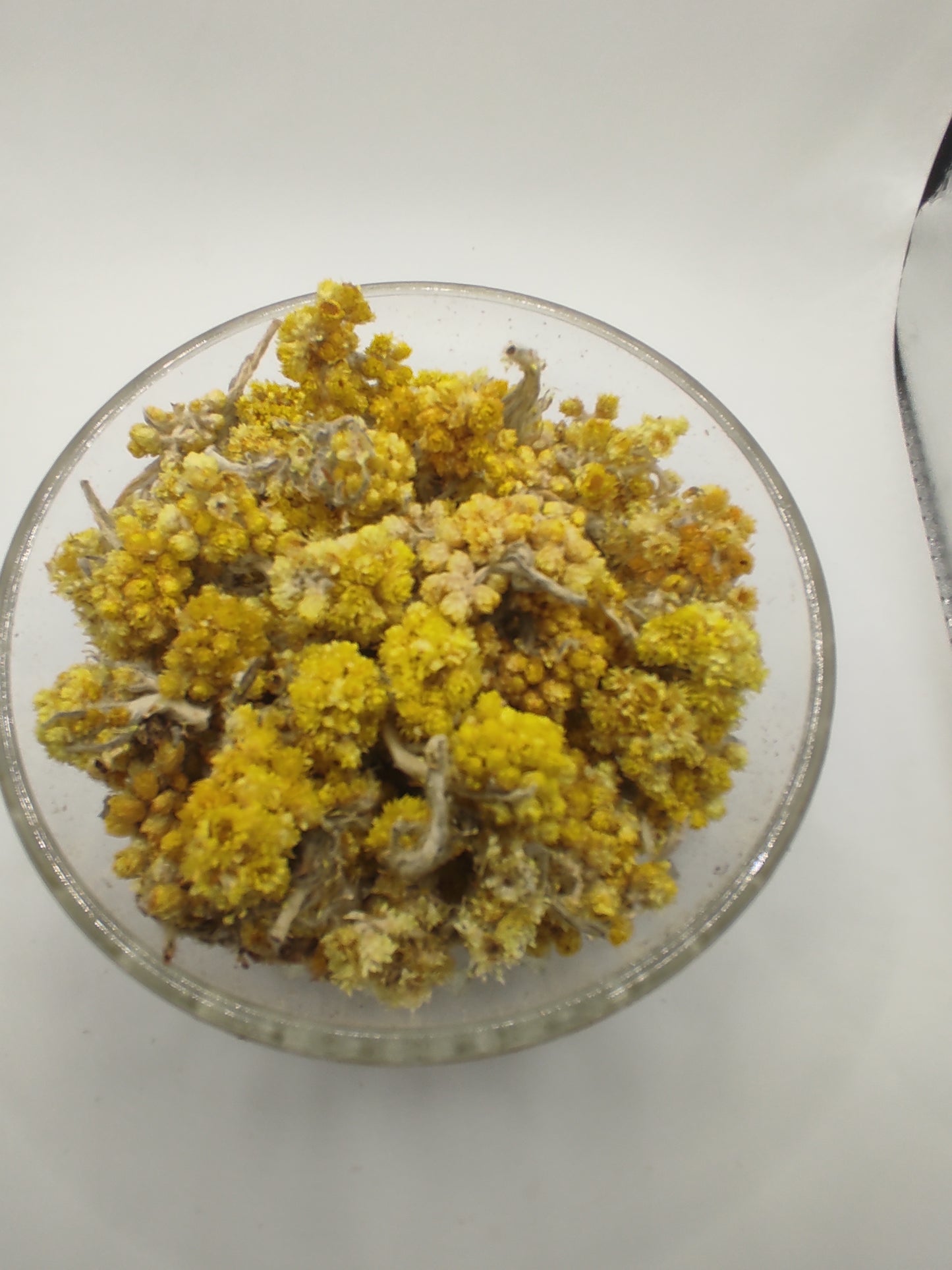 Helichrysum flower bay Organic dried tea herb bio