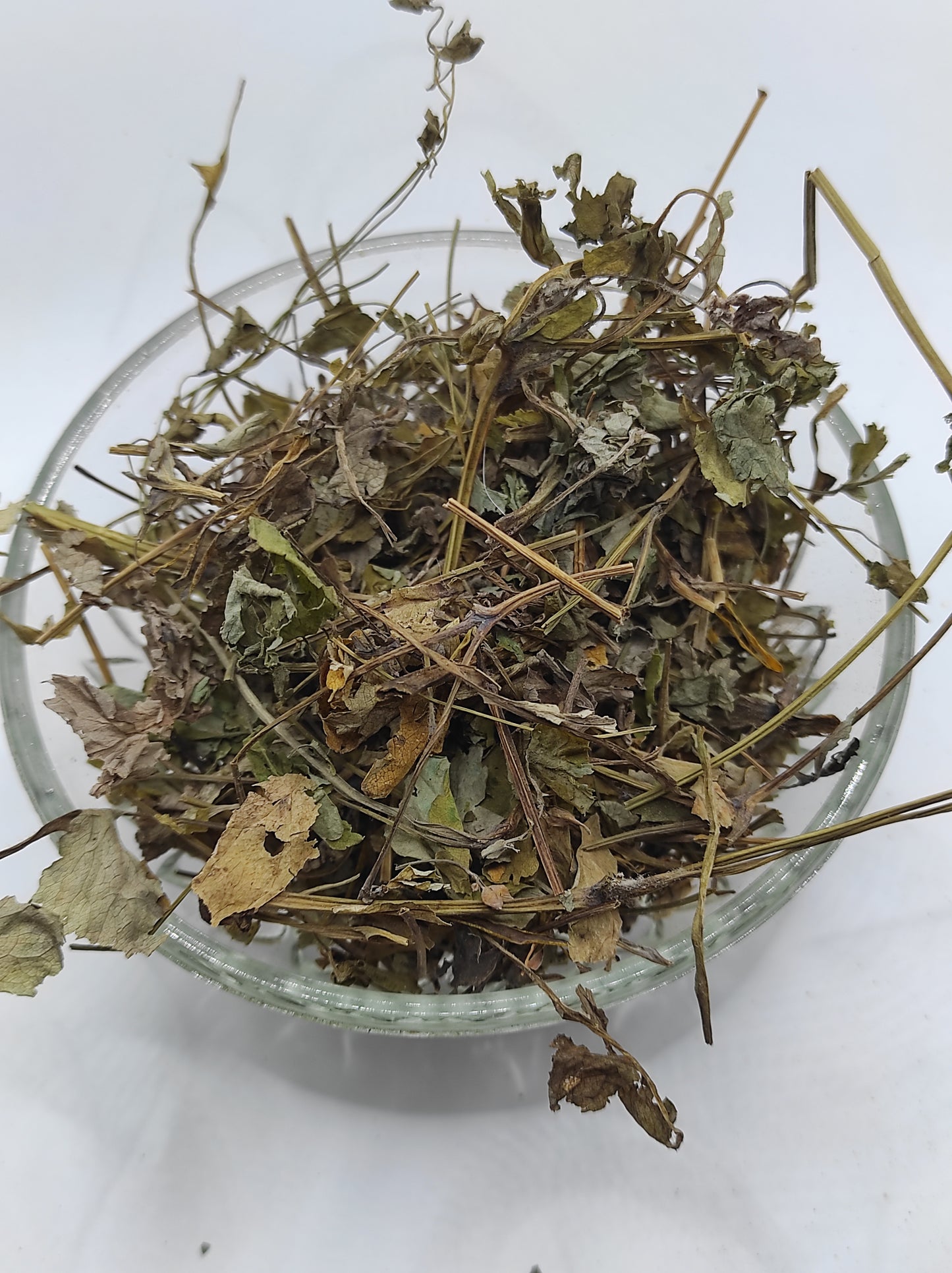 Greater Celandine Dried Herb ORGANIC Tea Chelidonium Majus