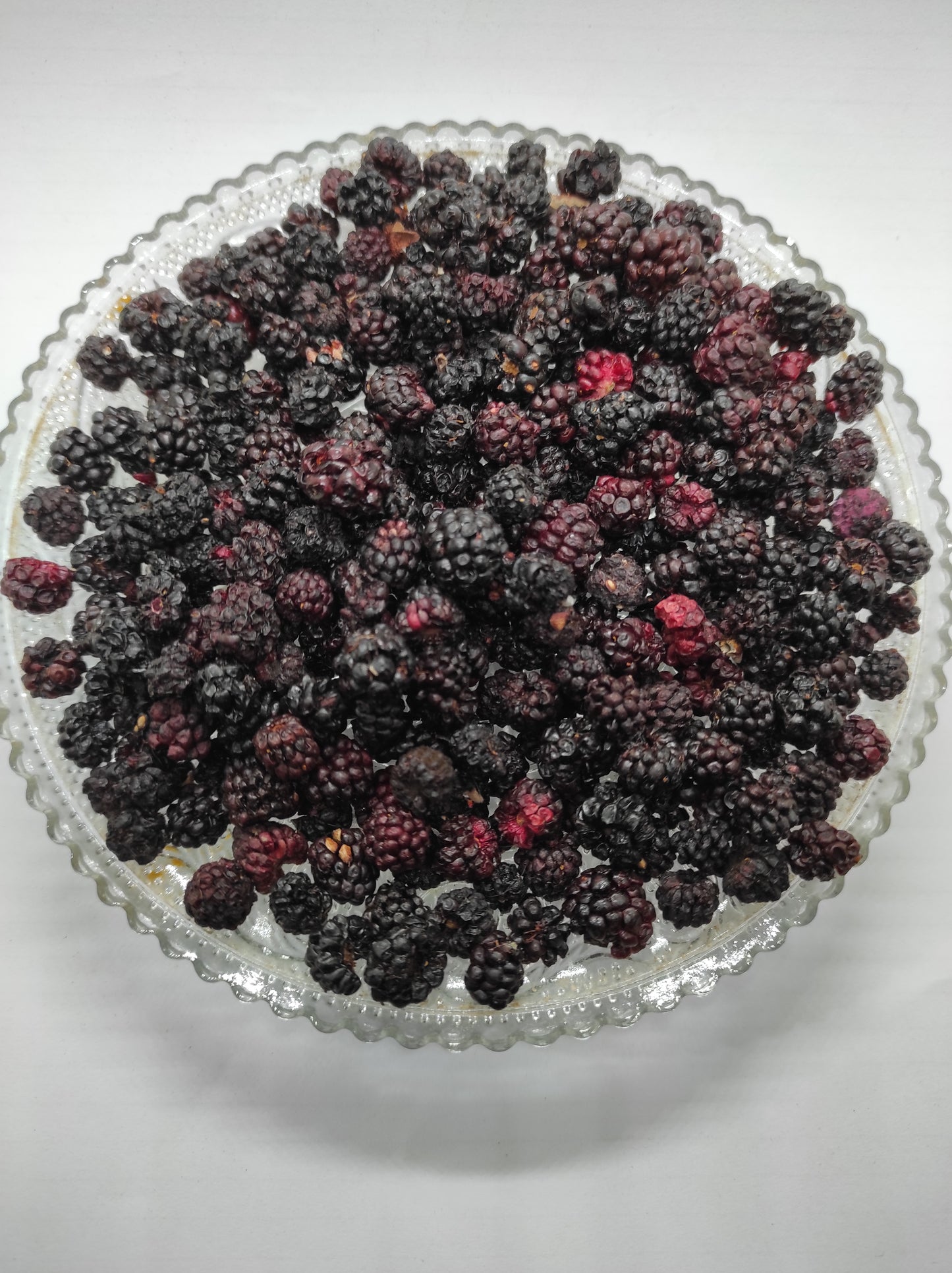 Blackberry Black Berry Dried Fruit Tea Rubus Fruticosus