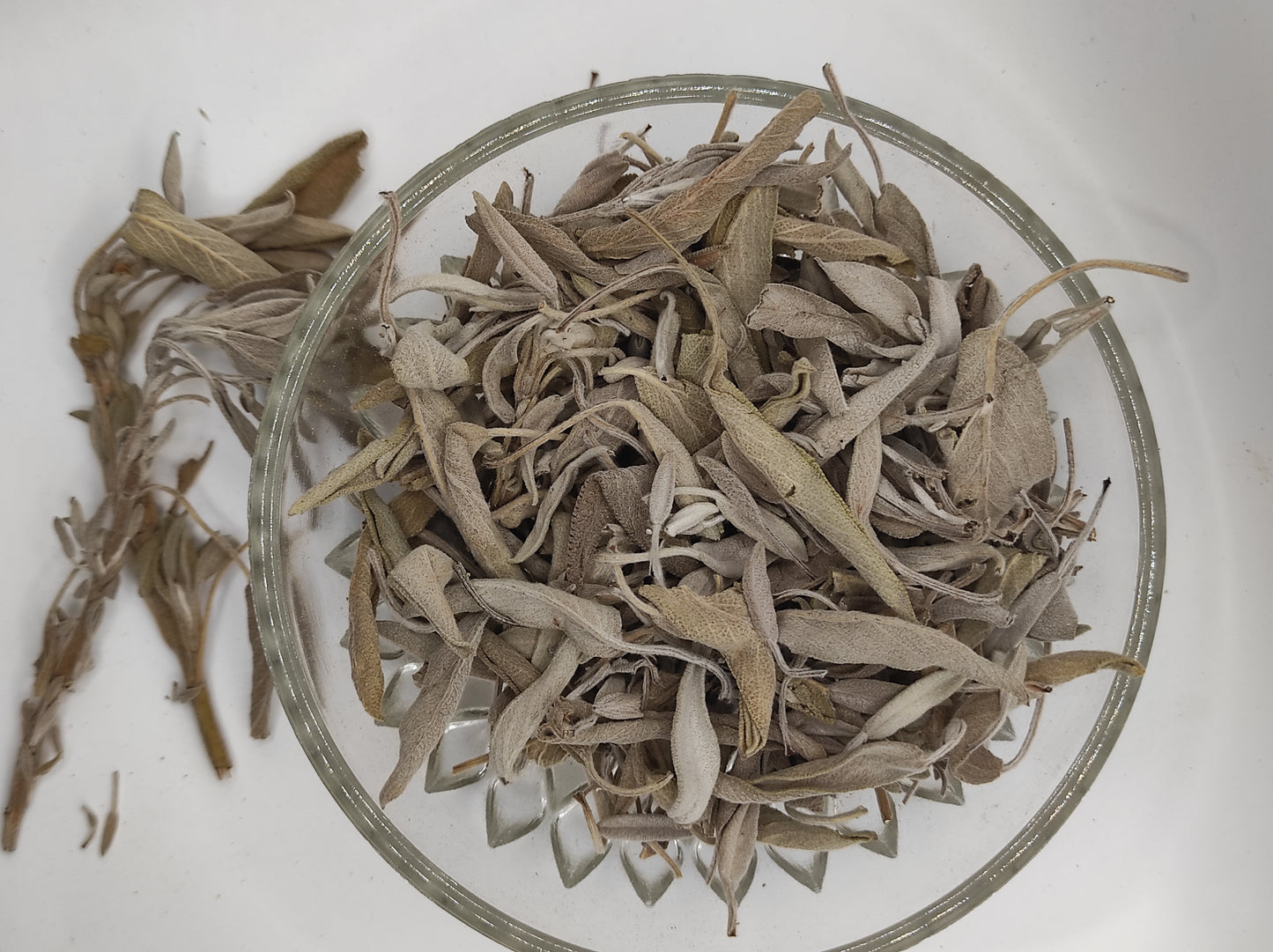 Sage leaf bay Salvia officinalis wild Organic dried tea bio