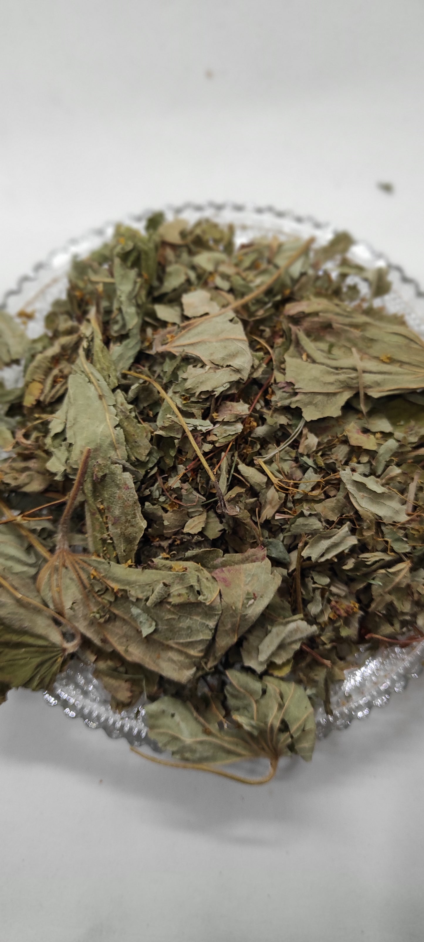 Lady's Mantle Herbal Tea  Dried Alchemilla Vulgaris Leaves  Organic Loose Leaf