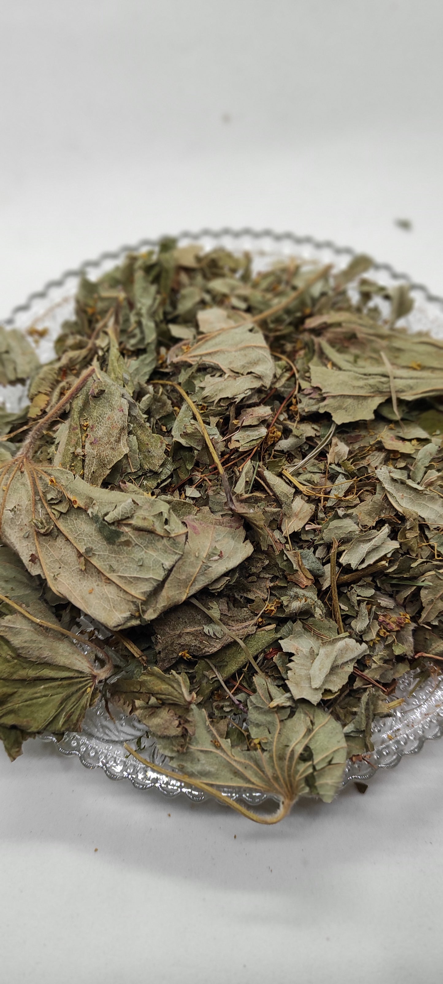 Lady's Mantle Herbal Tea  Dried Alchemilla Vulgaris Leaves  Organic Loose Leaf