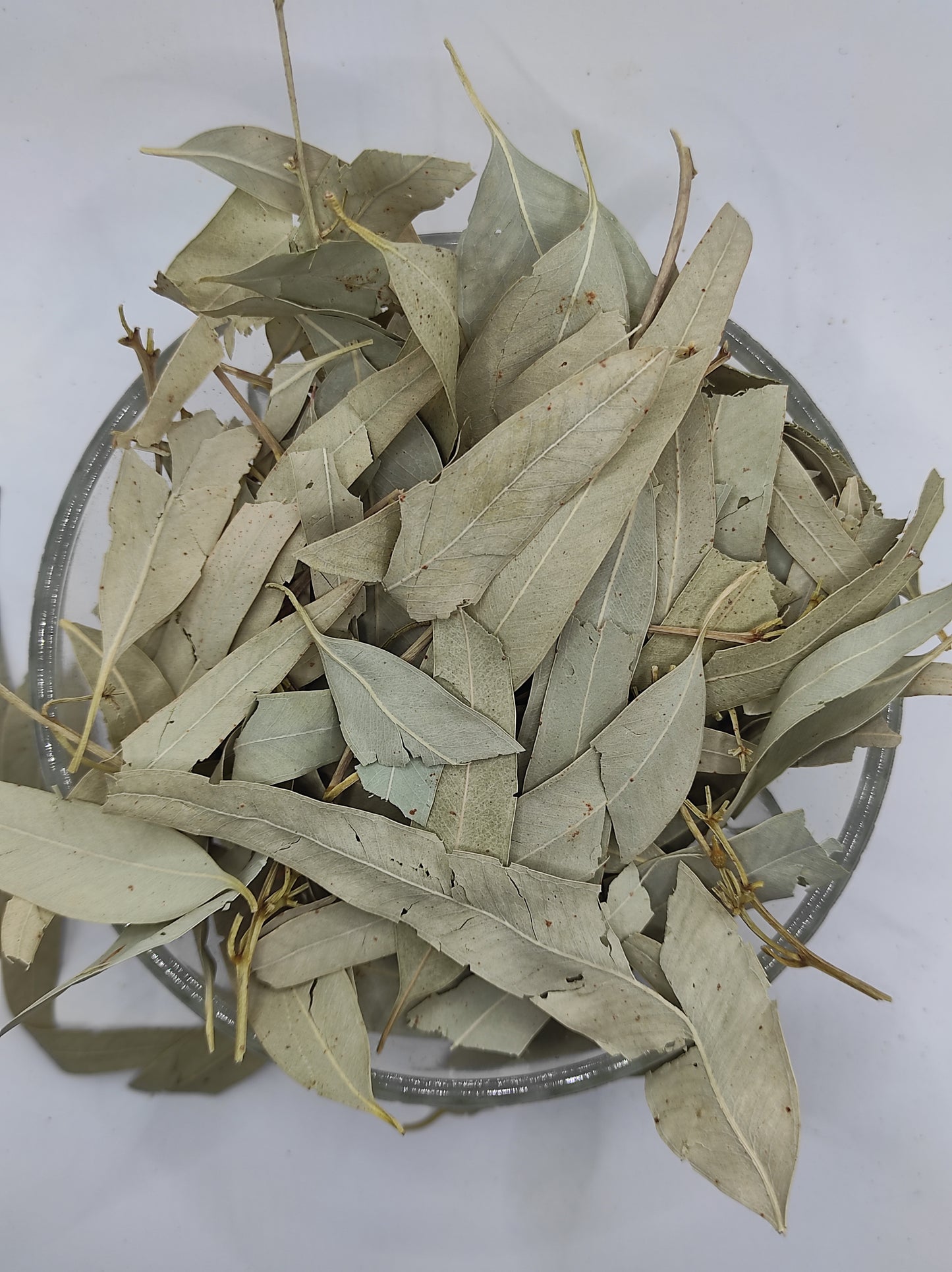 Organic Dried Eucalyptus Leaf Tea Herb 100% Natural Herbal Infusion Eucalyptus globulus