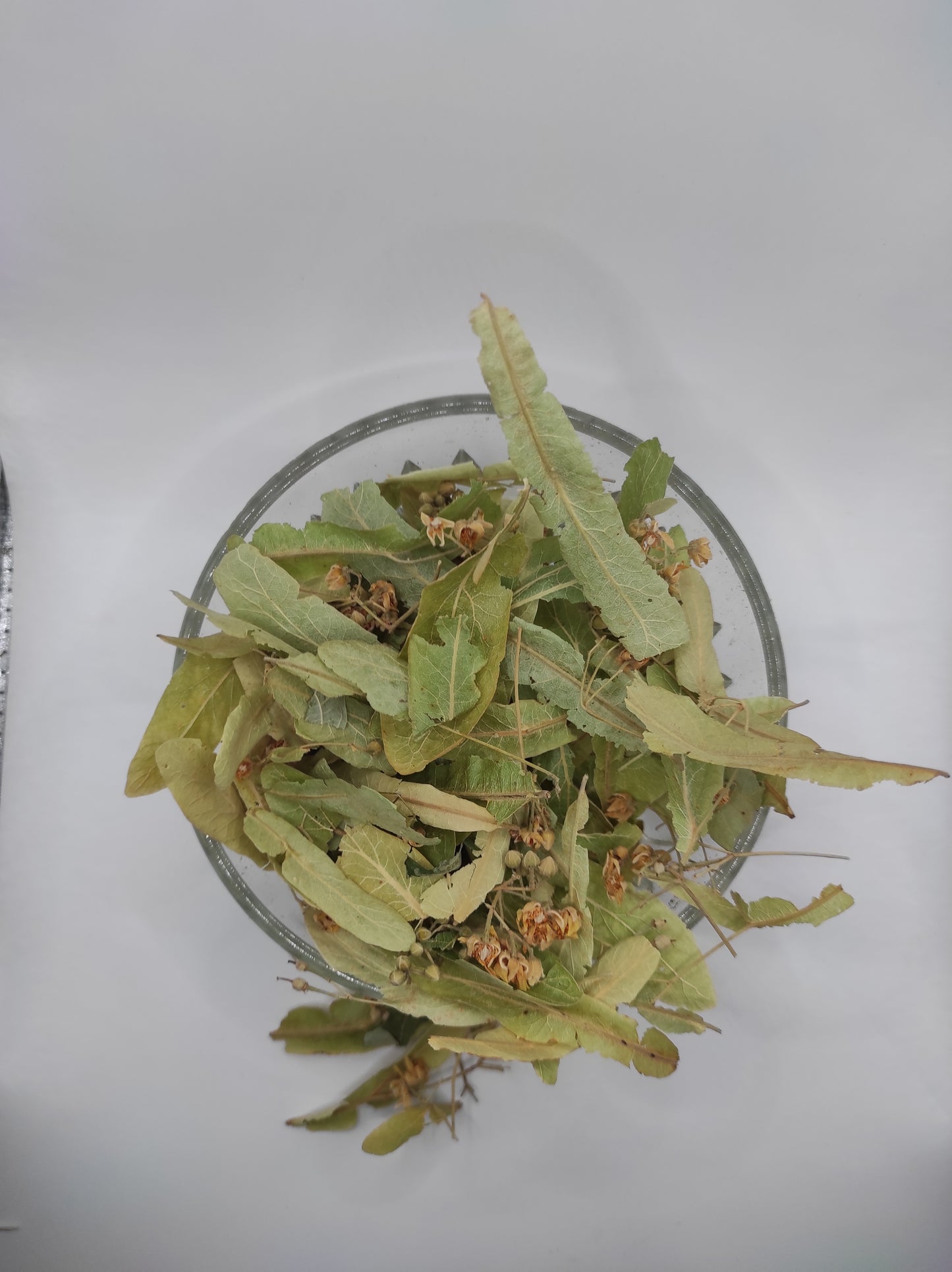 Linden flower bay Tilia Organic dried tea herb bio