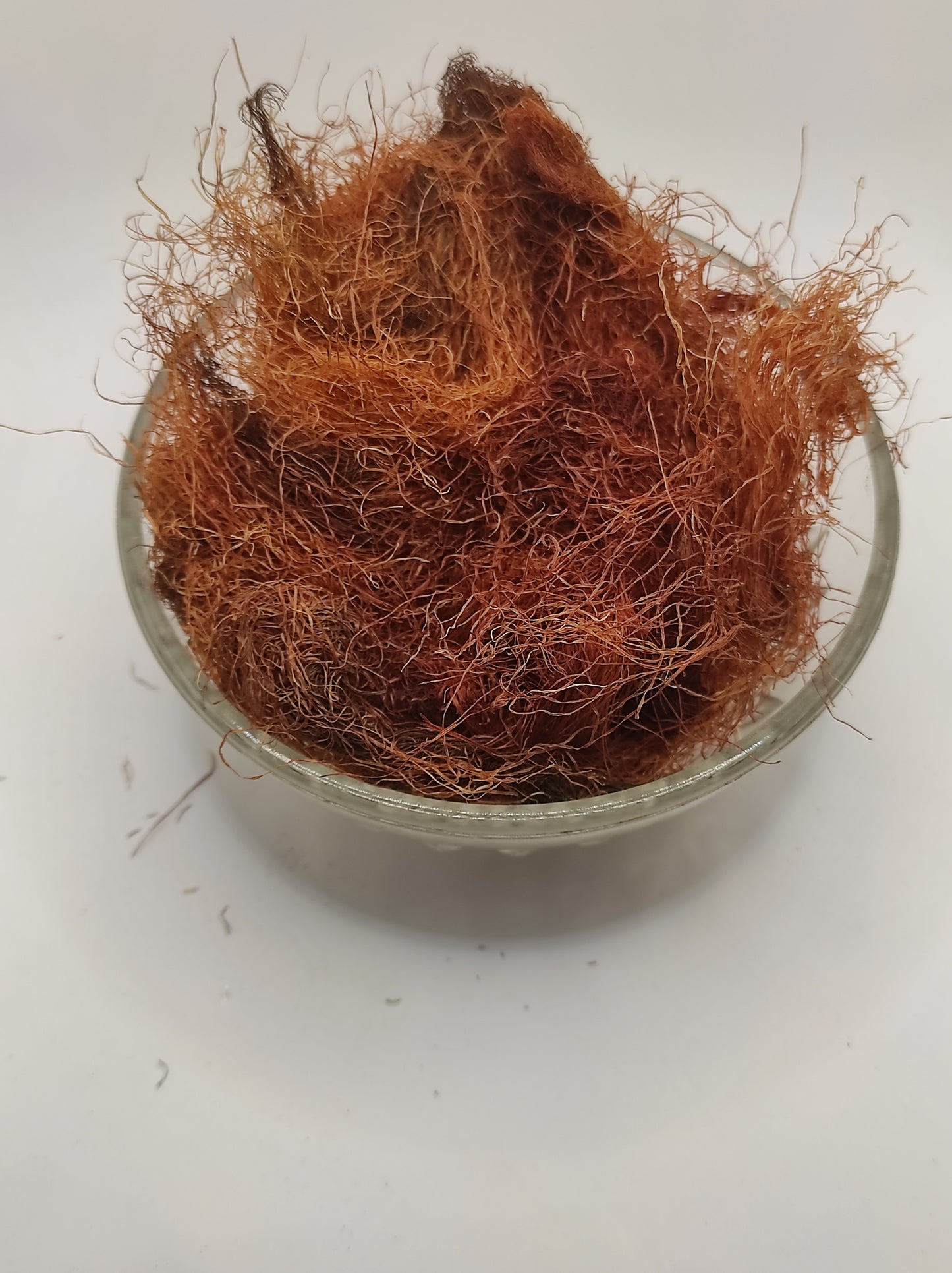 Corn Silk Herb Tea Zea Mays Mealy Silk dried