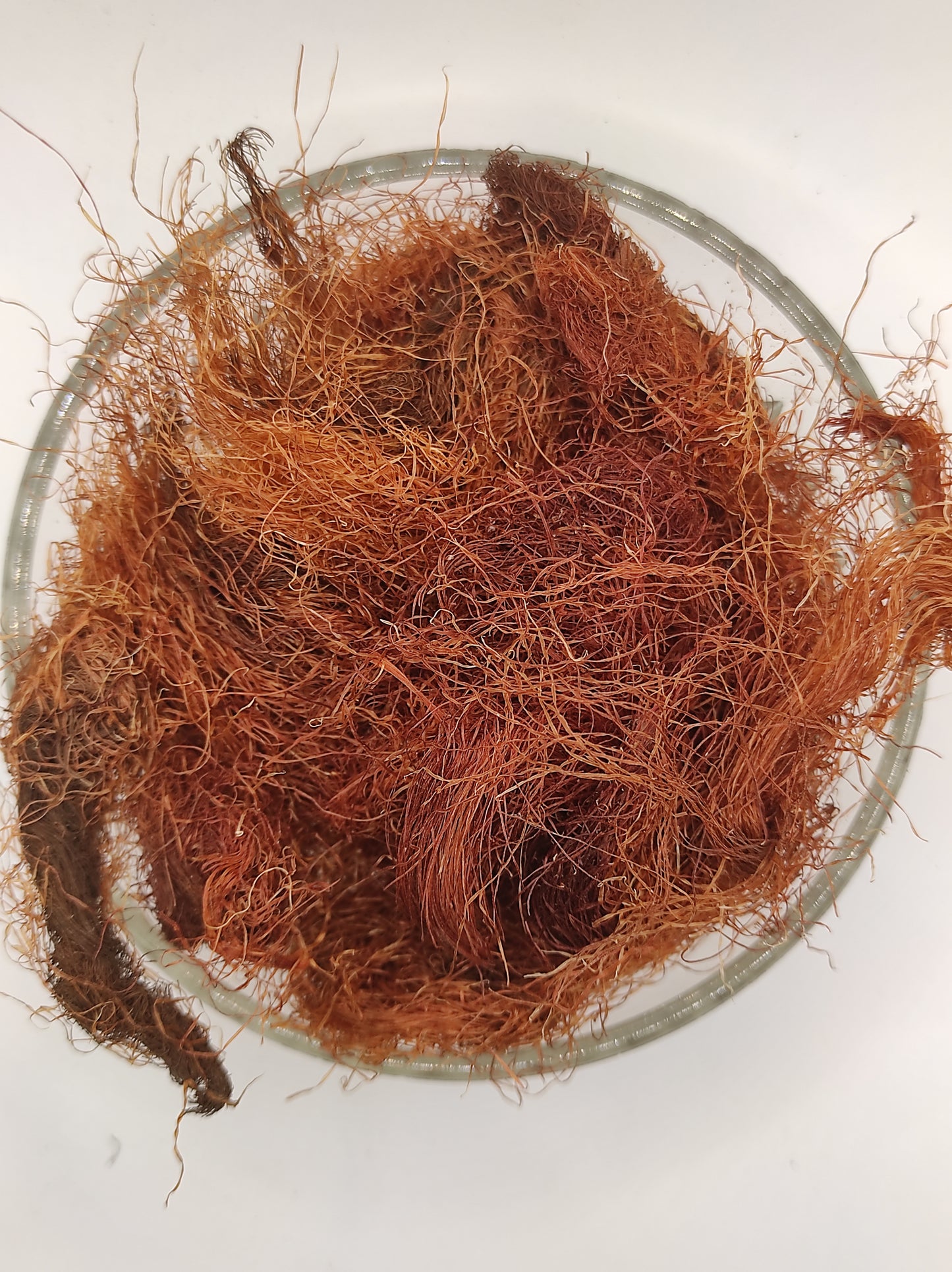 Corn Silk Herb Tea Zea Mays Mealy Silk dried