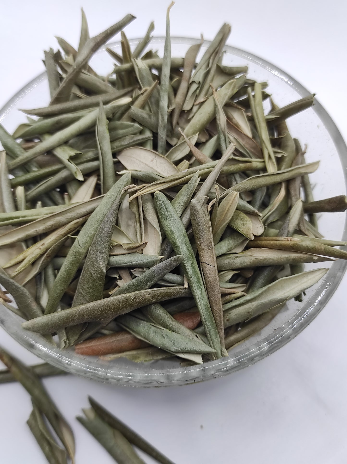 Organic Olive Leaf Tea Olea europaea Dried Leaves  Bio  Natural