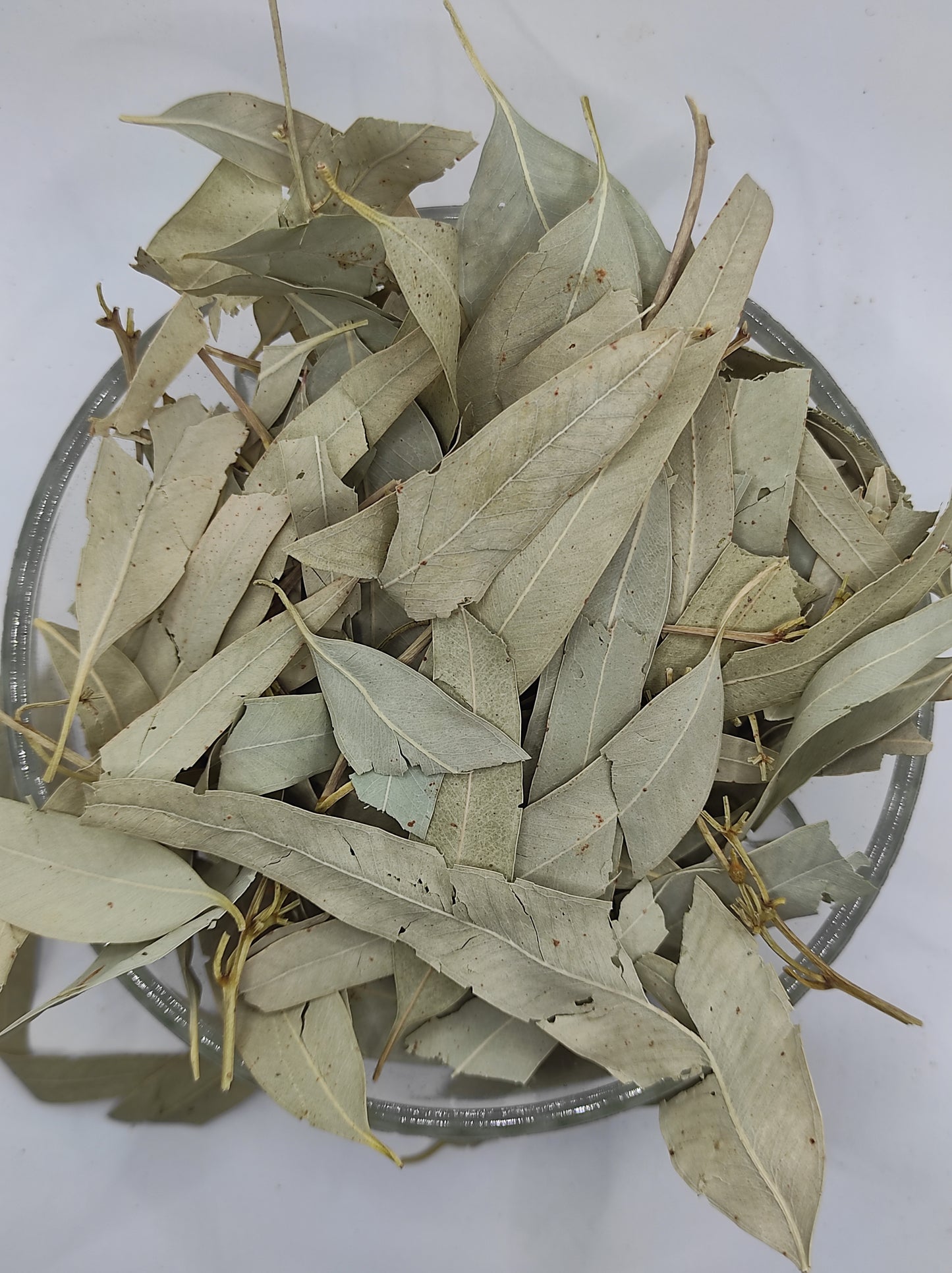 Organic Dried Eucalyptus Leaf Tea Herb 100% Natural Herbal Infusion Eucalyptus globulus