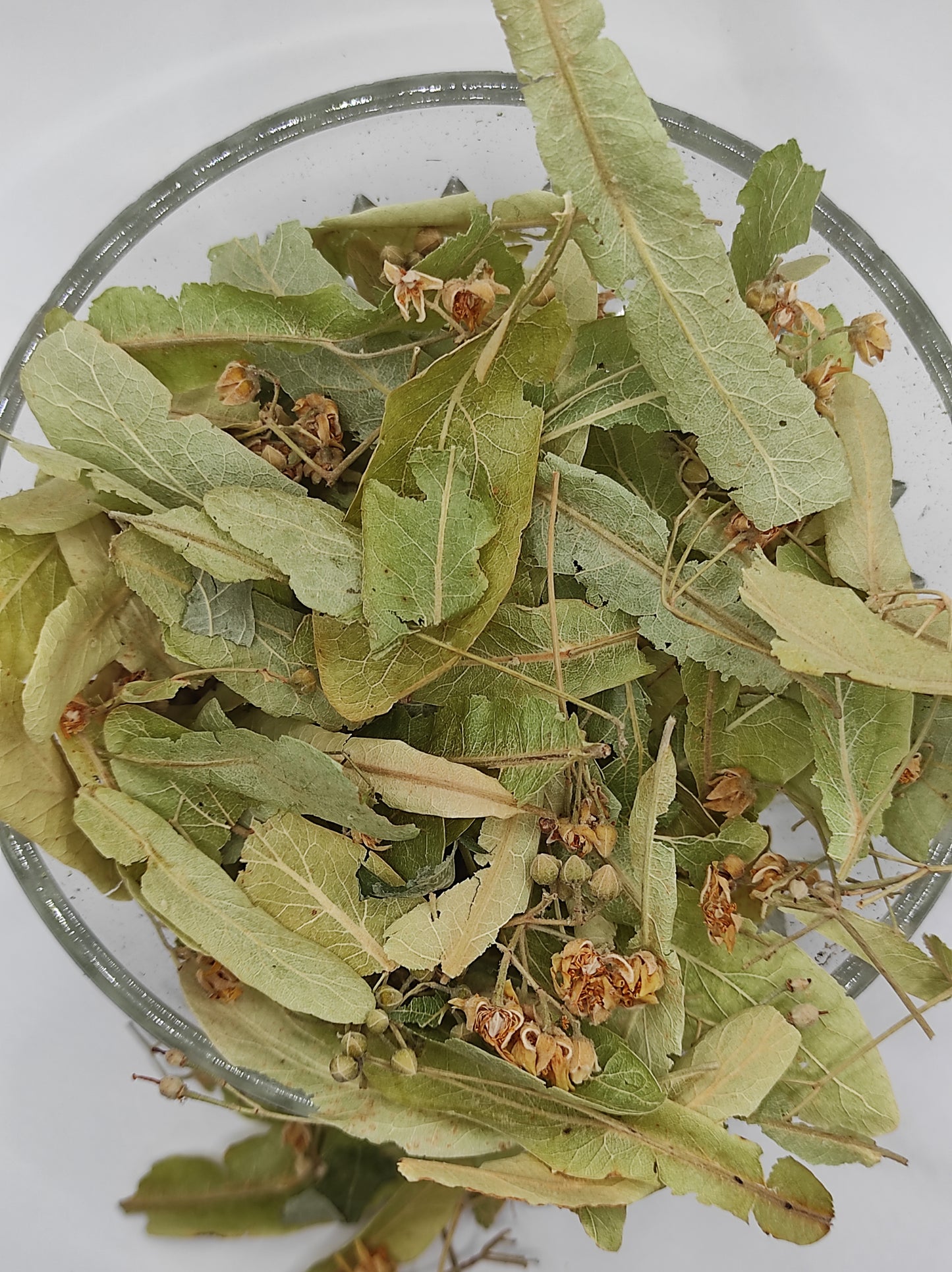 Linden flower bay Tilia Organic dried tea herb bio