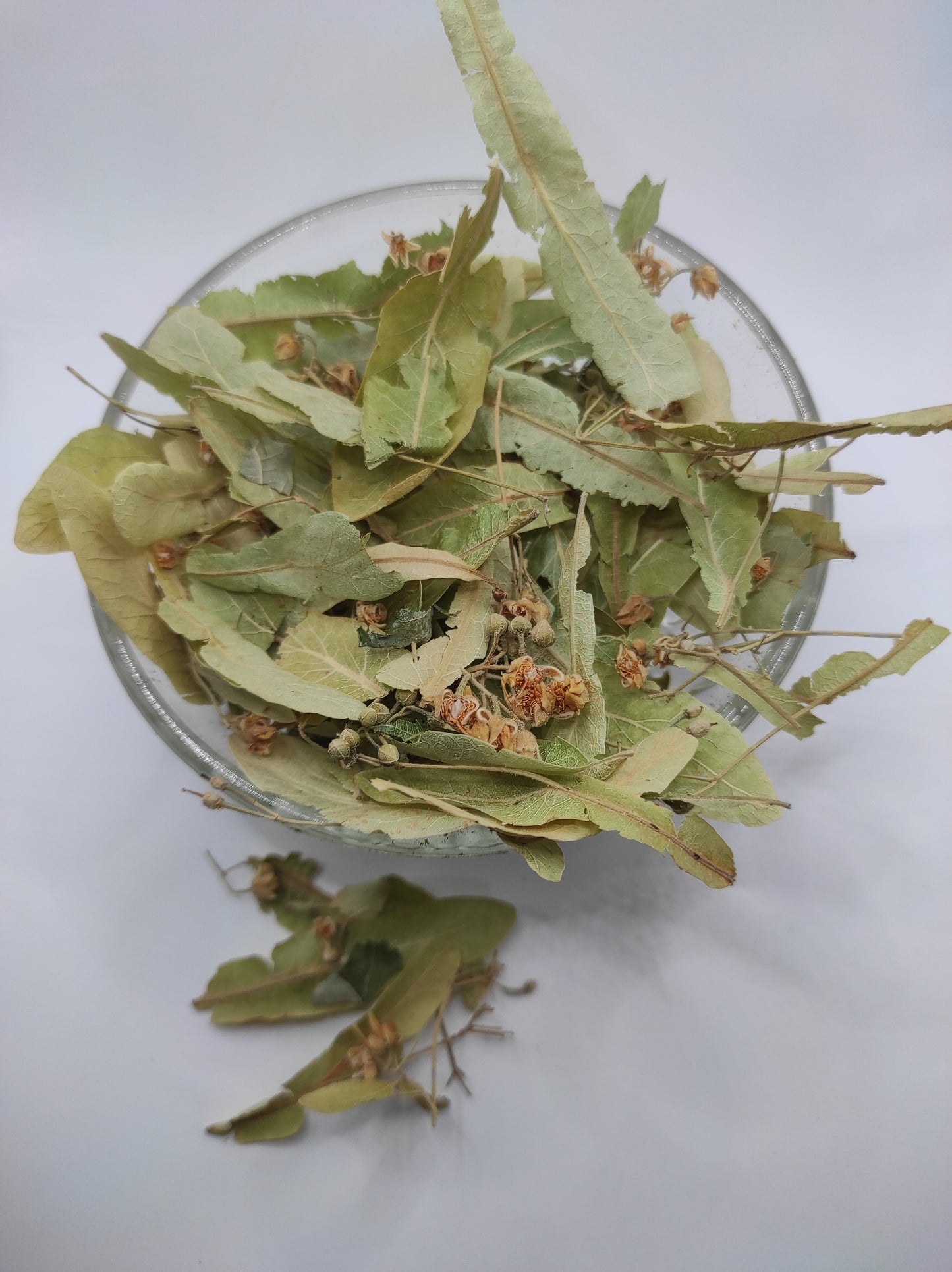 Linden flower bay Tilia Organic dried tea herb bio