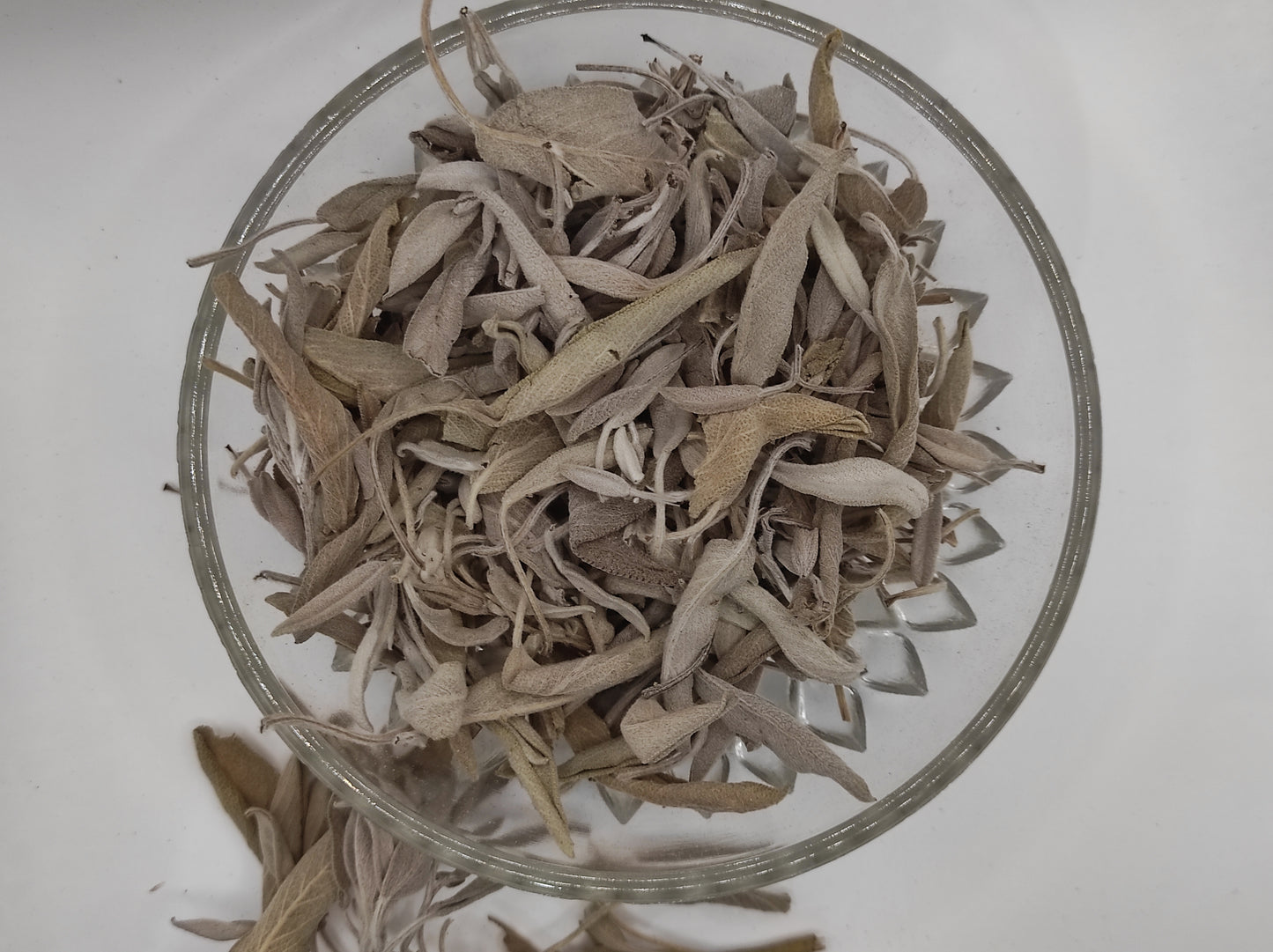 Sage leaf bay Salvia officinalis wild Organic dried tea bio
