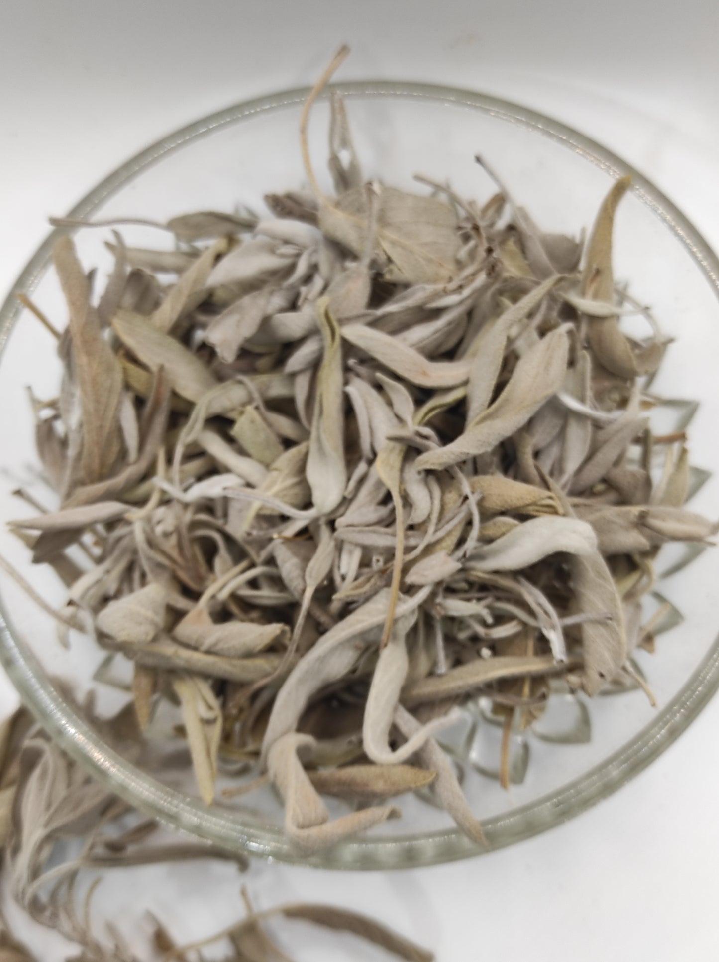 Sage leaf bay Salvia officinalis wild Organic dried tea bio