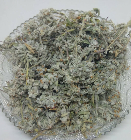 Mountain Germander Teucrium montanum Organic dried tea herb