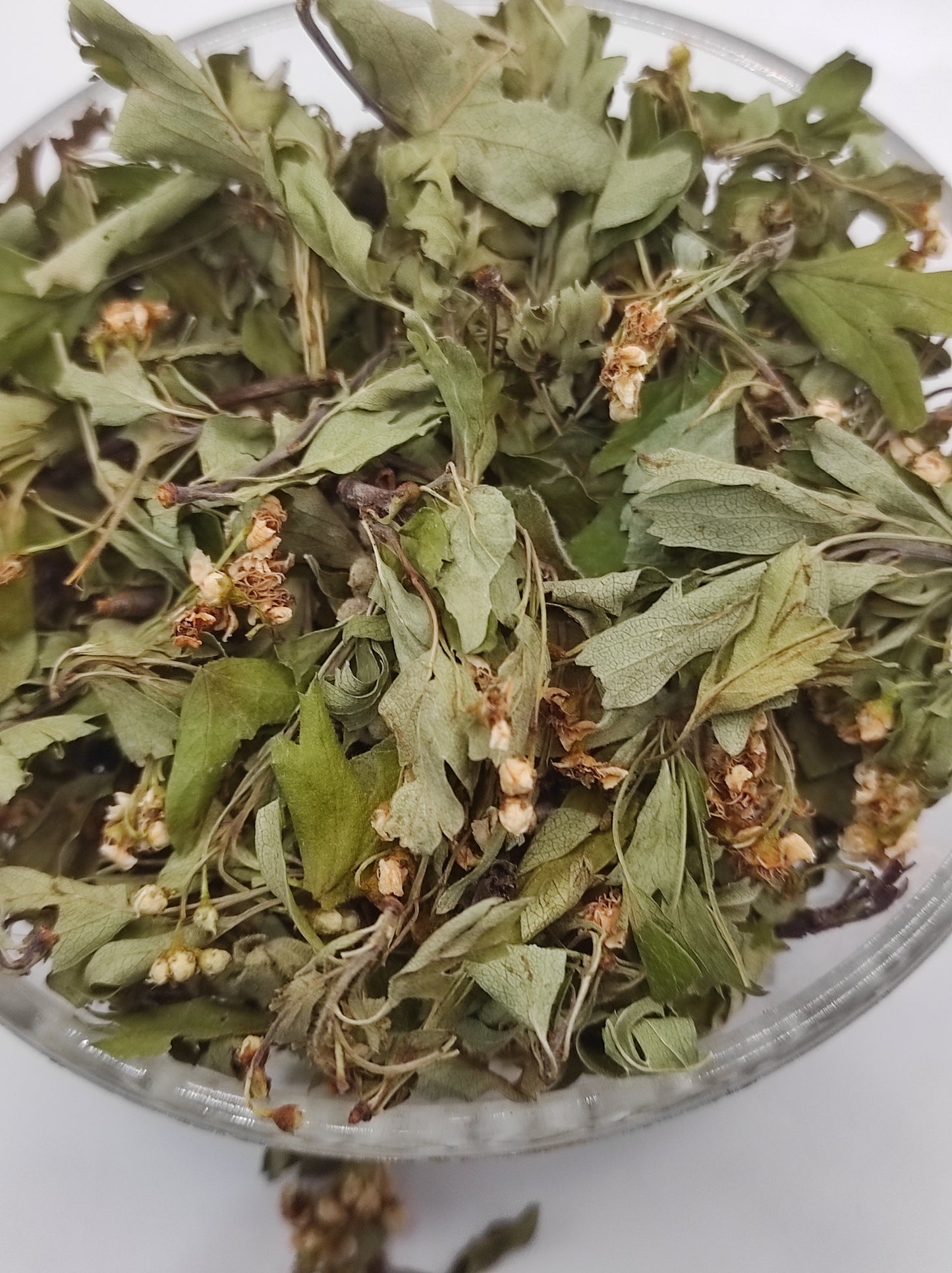 Hawthorn Leaf and Flower Crataegus Organic dried tea herb