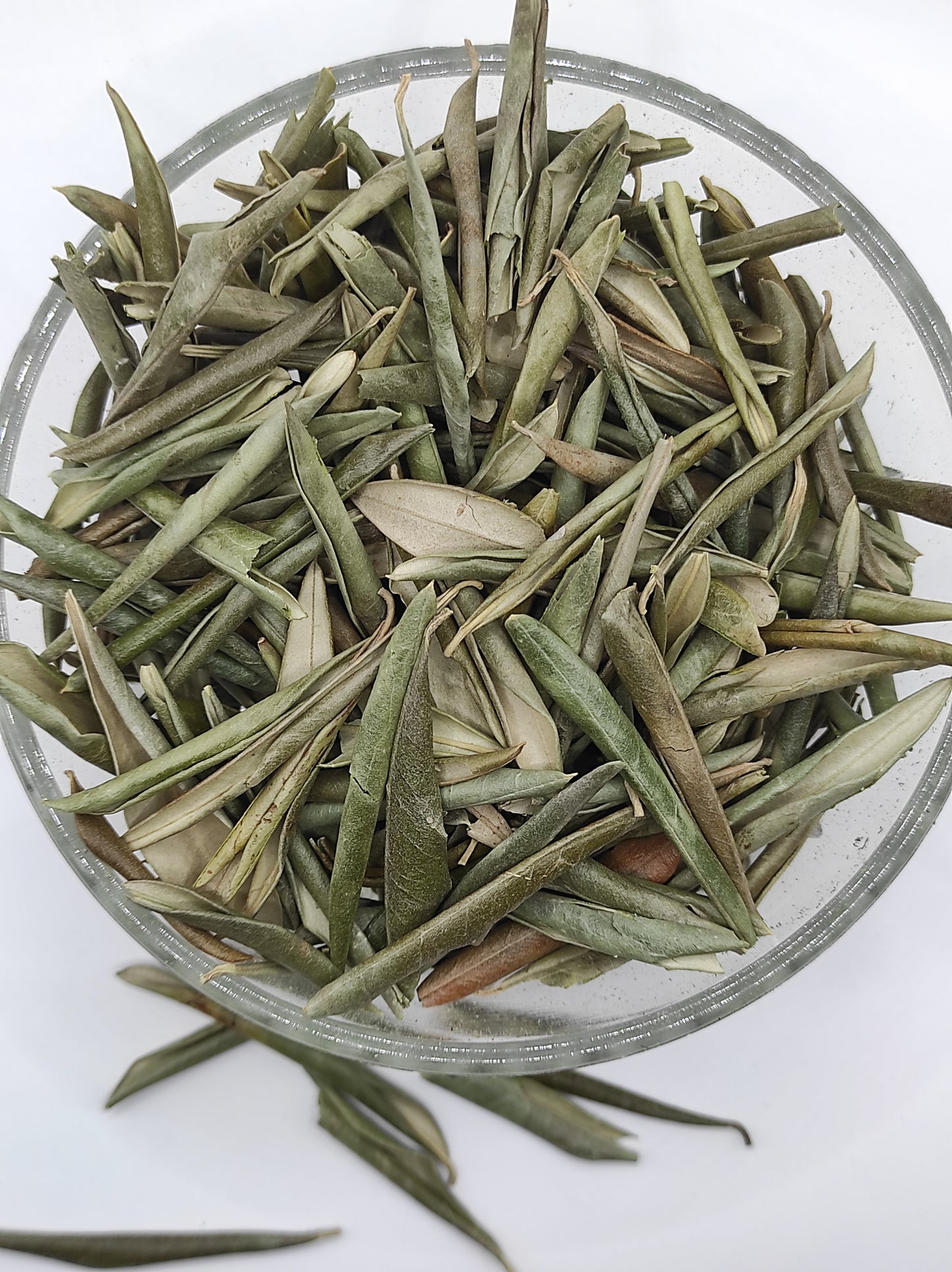 Organic Olive Leaf Tea Olea europaea Dried Leaves  Bio  Natural