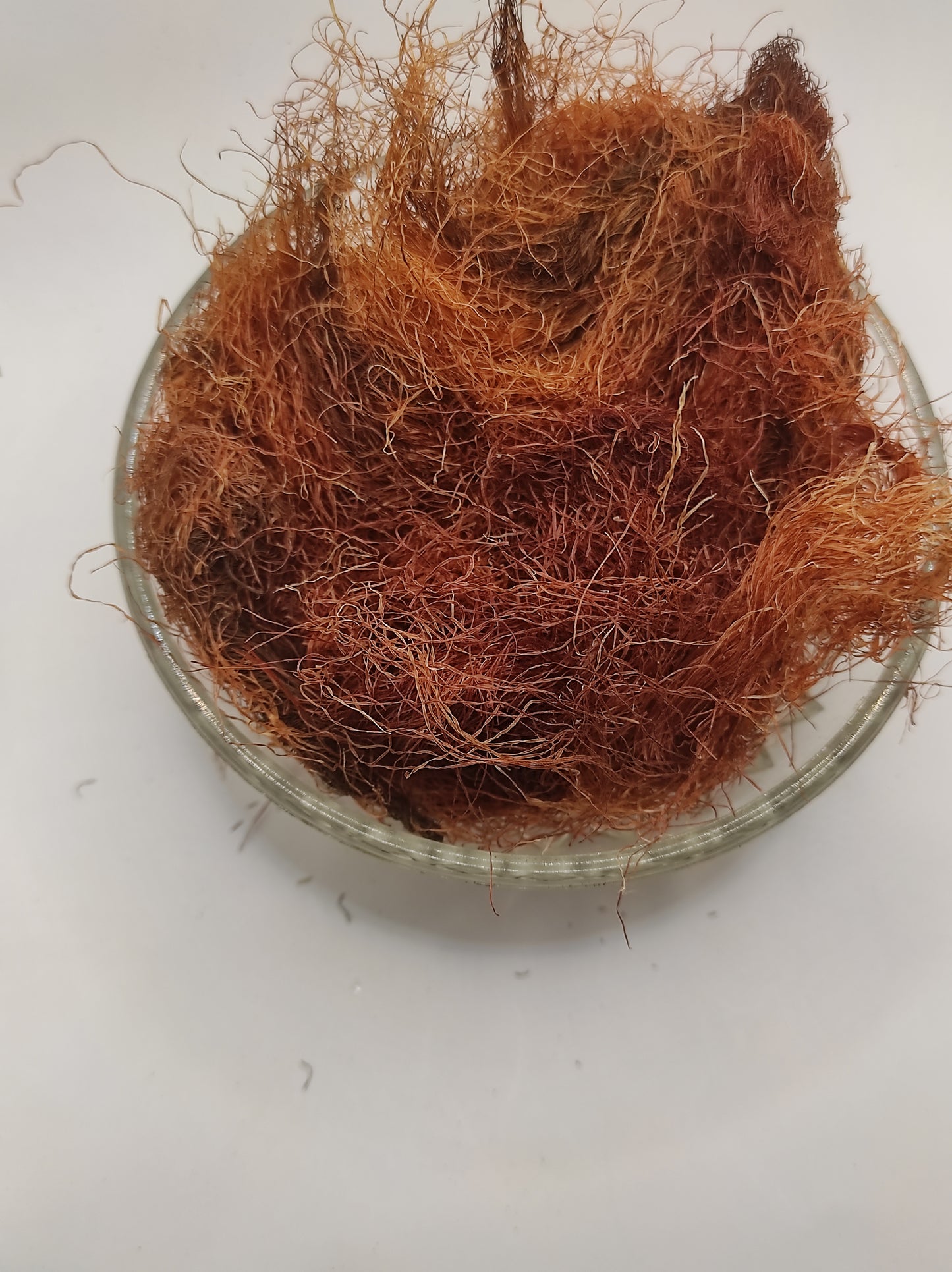 Corn Silk Herb Tea Zea Mays Mealy Silk dried