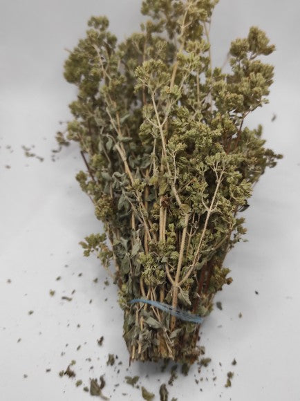 Raw Oregano Bunch