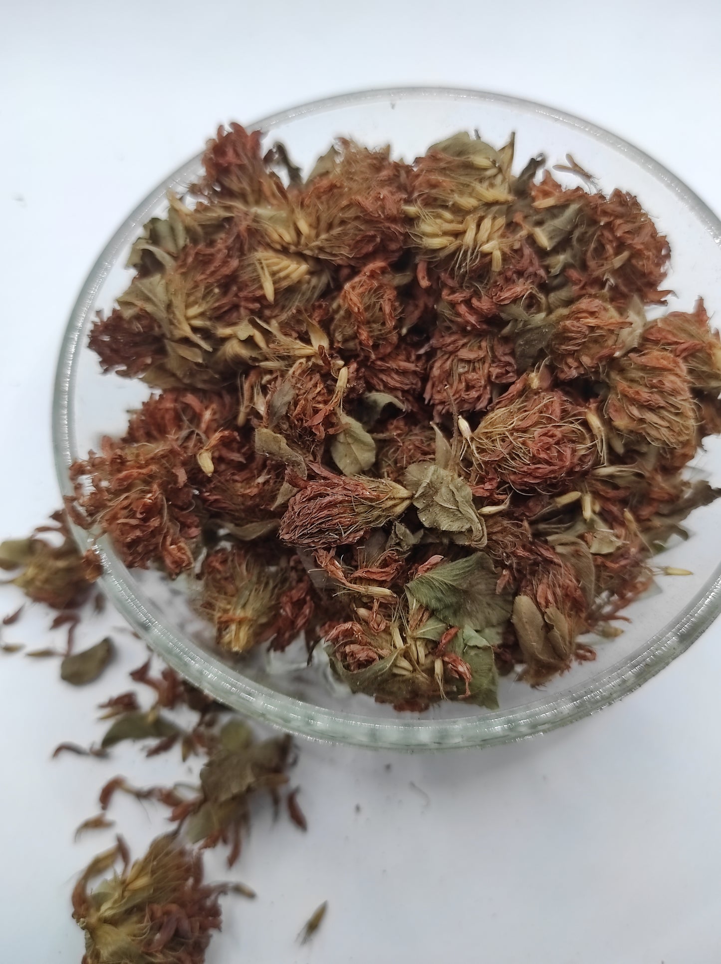 Organic Dried Red Clover Flowers Trifolium pratense Herbal Tea