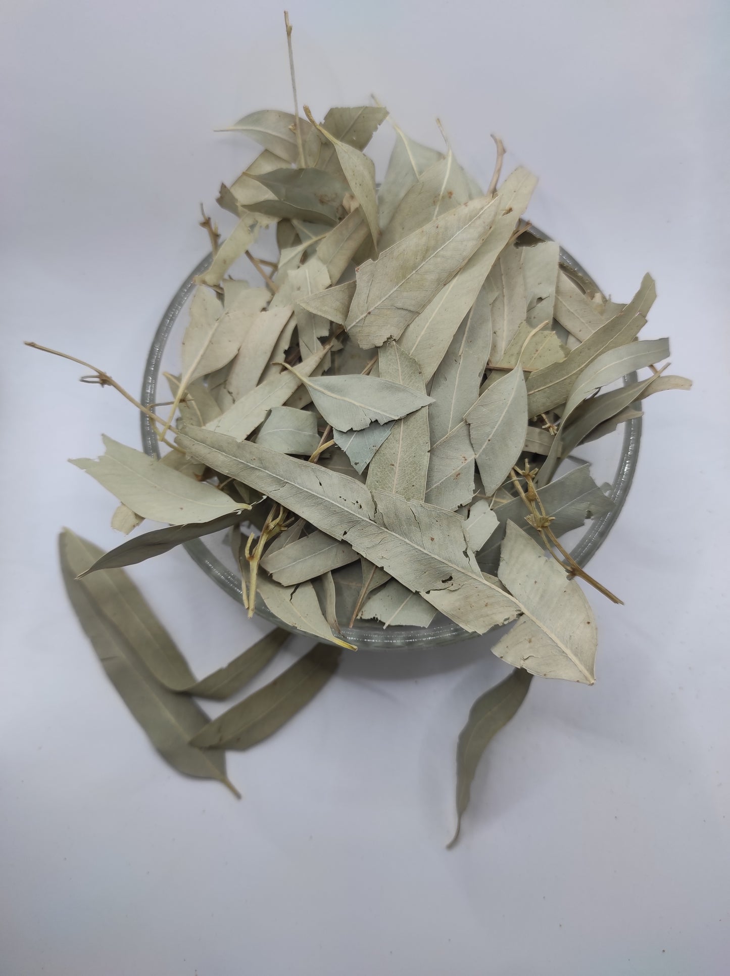 Organic Dried Eucalyptus Leaf Tea Herb 100% Natural Herbal Infusion Eucalyptus globulus