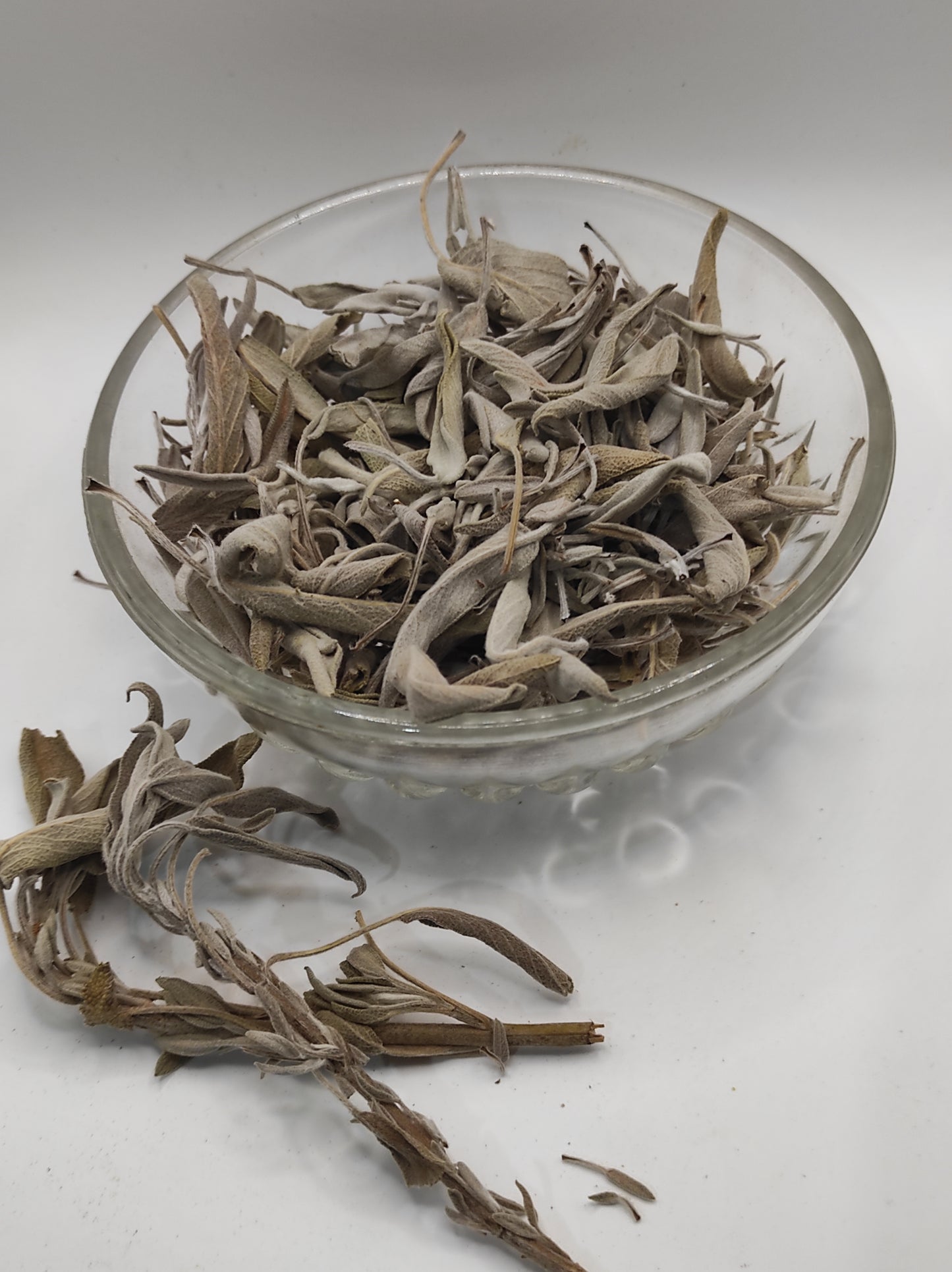 Sage leaf bay Salvia officinalis wild Organic dried tea bio