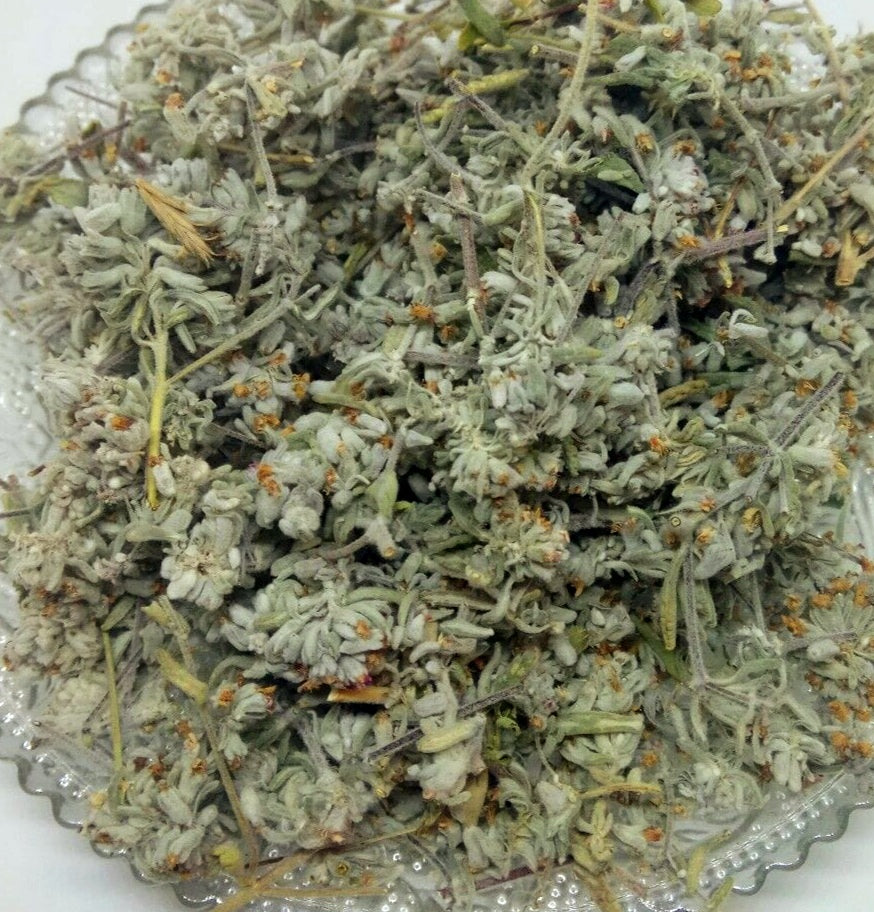 Mountain Germander Teucrium montanum Organic dried tea herb