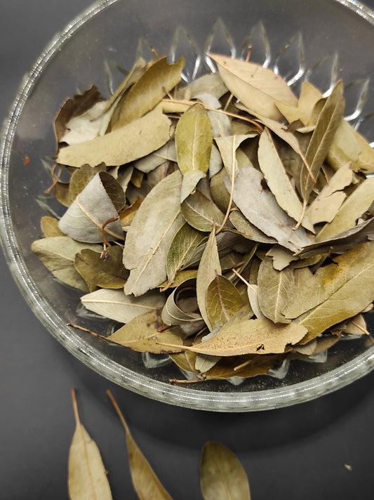 WILD PEAR Leaves ORGANIC Dried herb Pyrus pyraster Tea