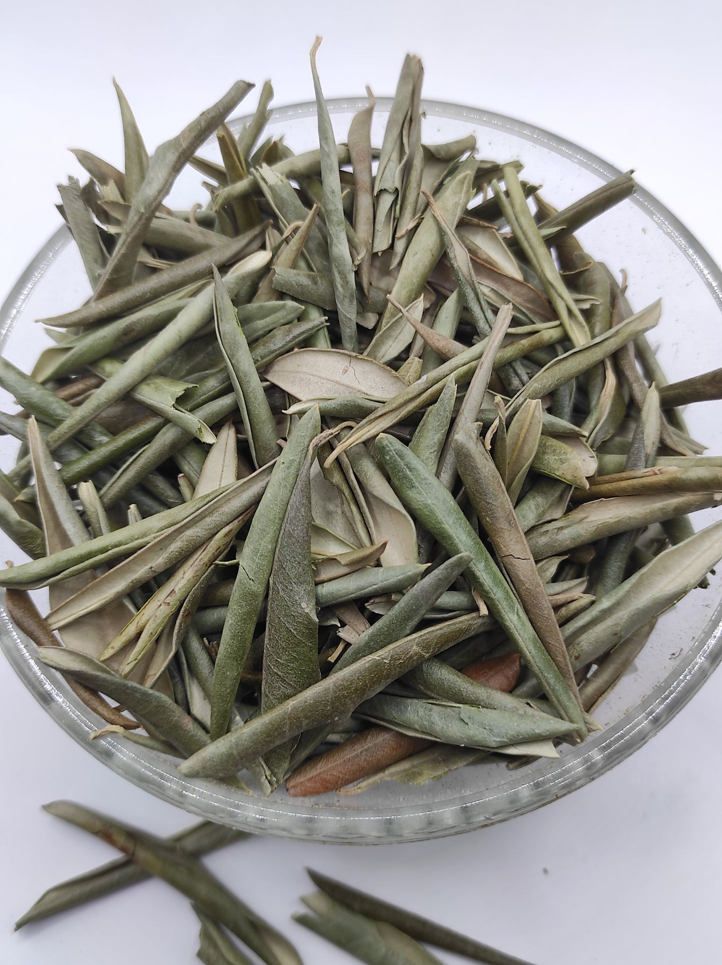 Organic Olive Leaf Tea Olea europaea Dried Leaves  Bio  Natural