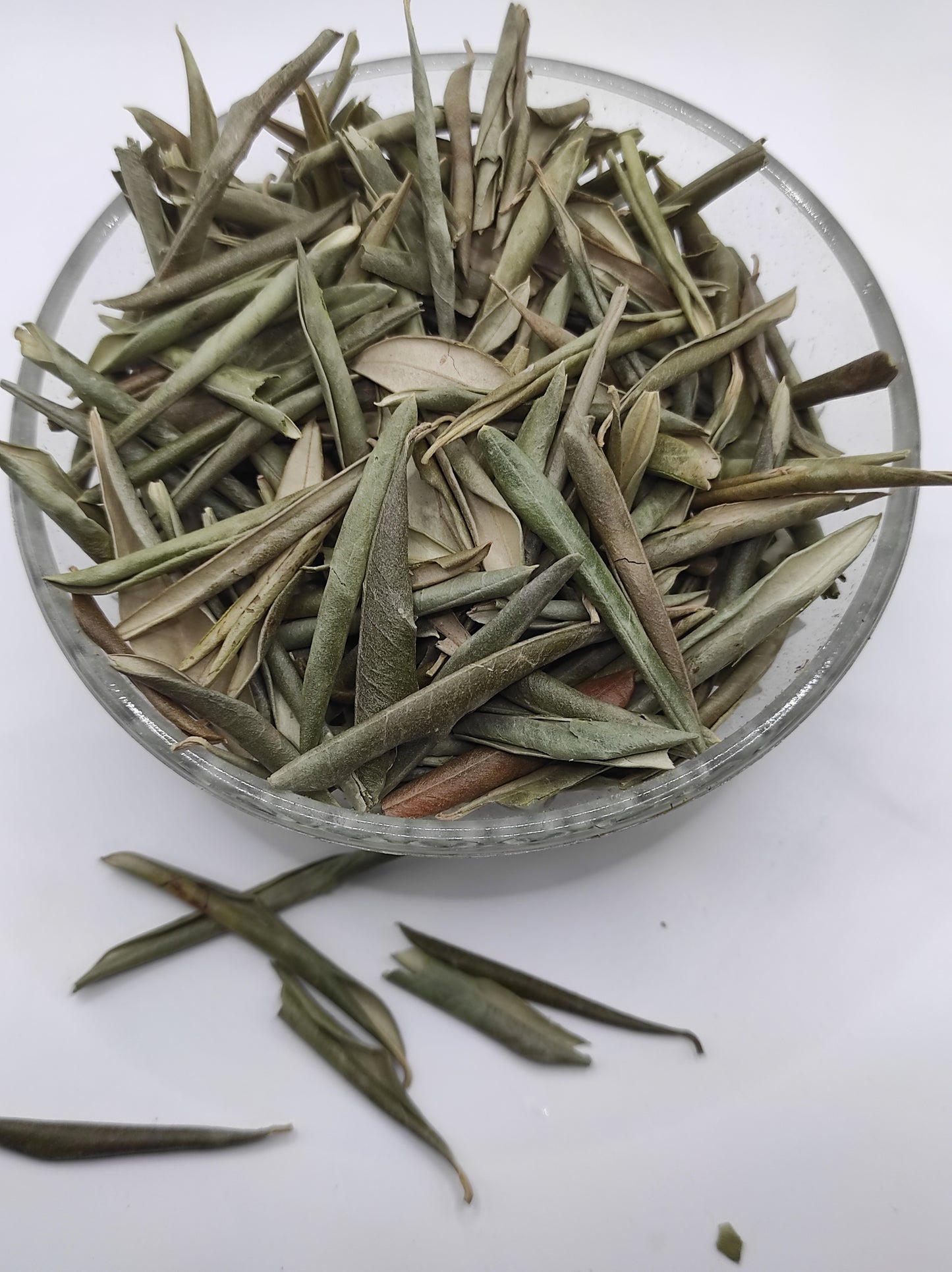 Organic Olive Leaf Tea Olea europaea Dried Leaves  Bio  Natural