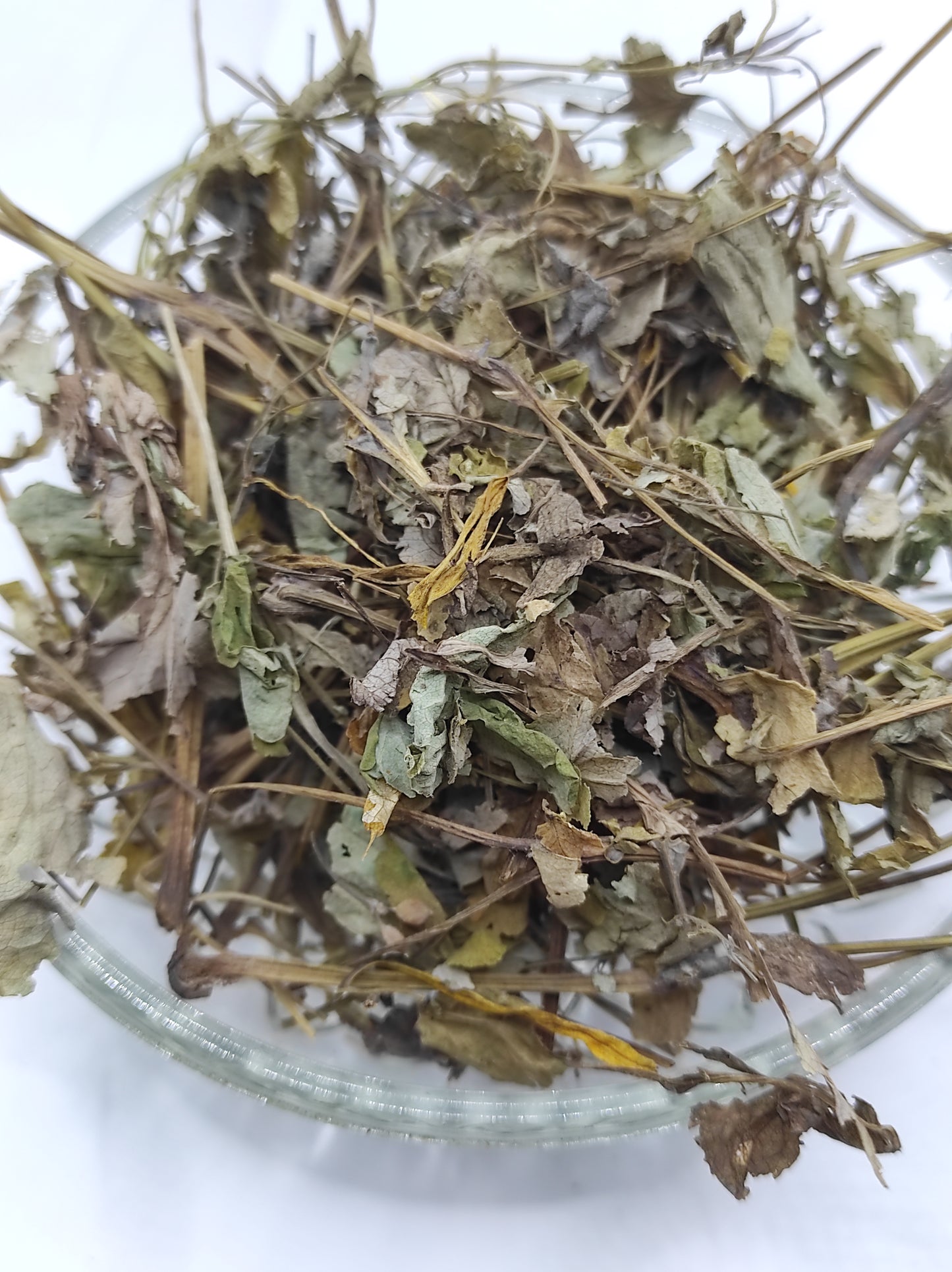 Greater Celandine Dried Herb ORGANIC Tea Chelidonium Majus