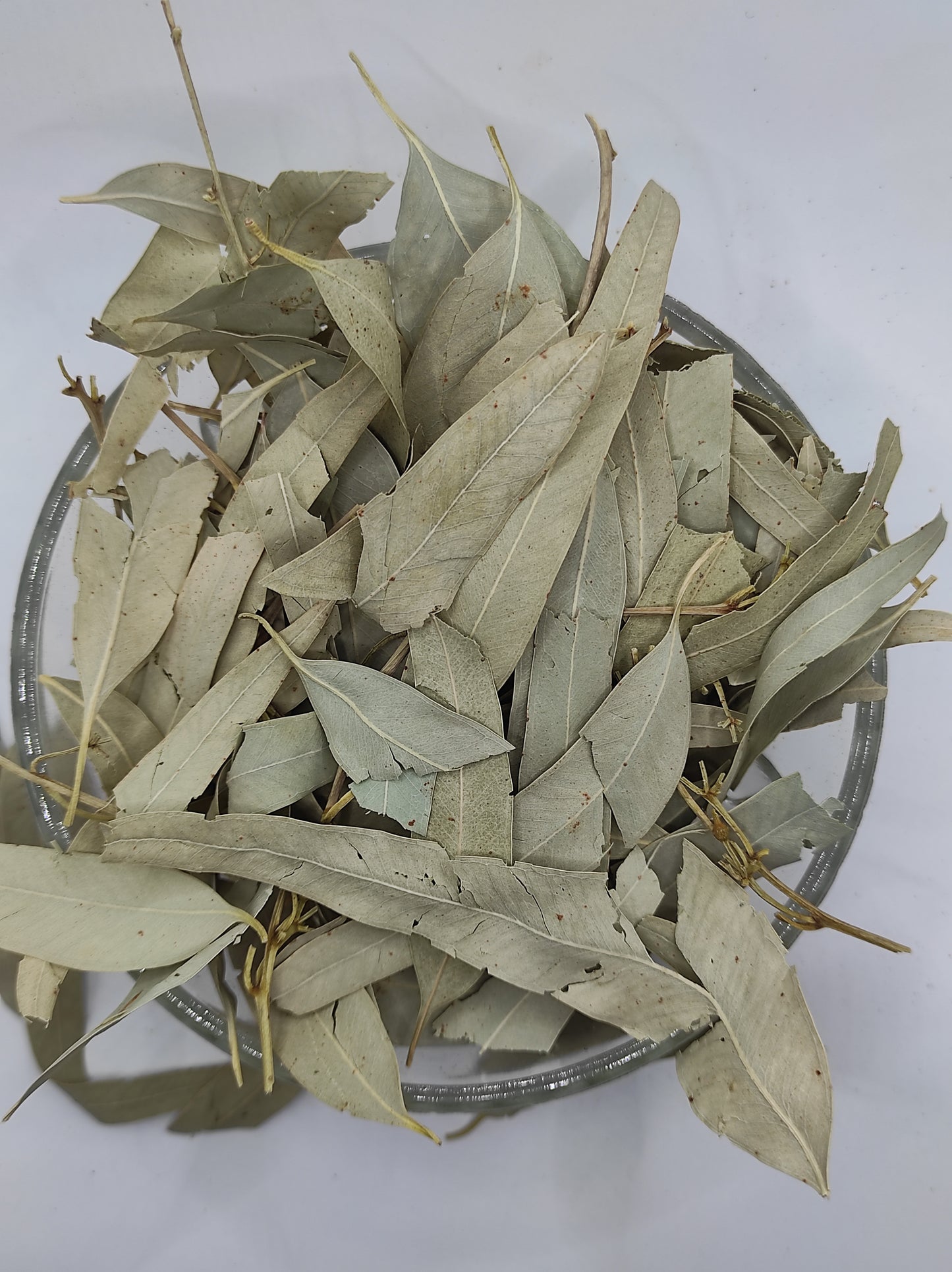 Organic Dried Eucalyptus Leaf Tea Herb 100% Natural Herbal Infusion Eucalyptus globulus