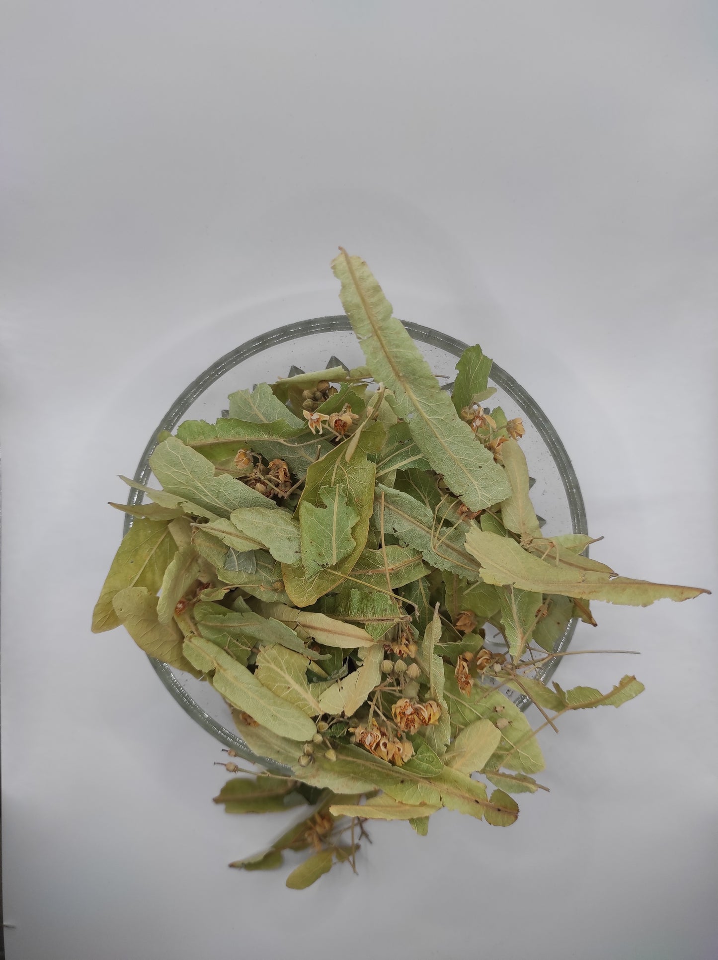Linden flower bay Tilia Organic dried tea herb bio