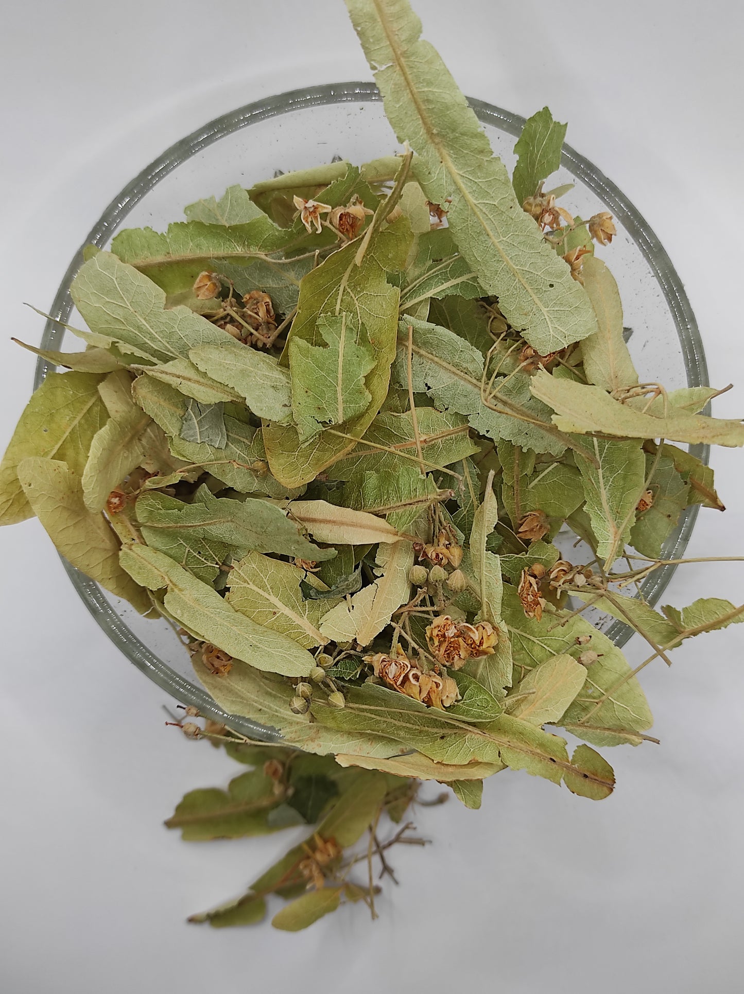 Linden flower bay Tilia Organic dried tea herb bio