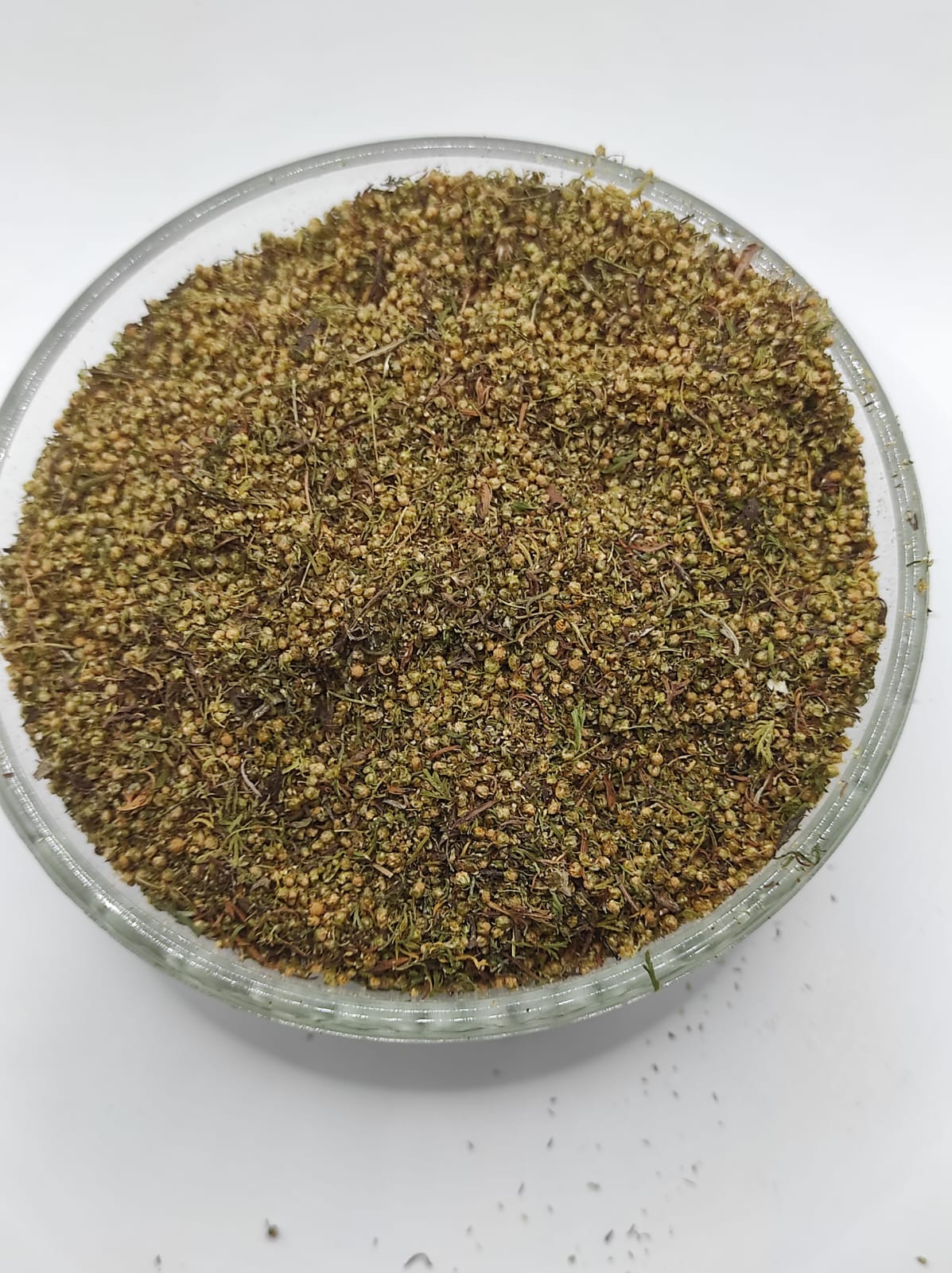 Artemisia Annua  Sweet Wormwood Natural Herbal