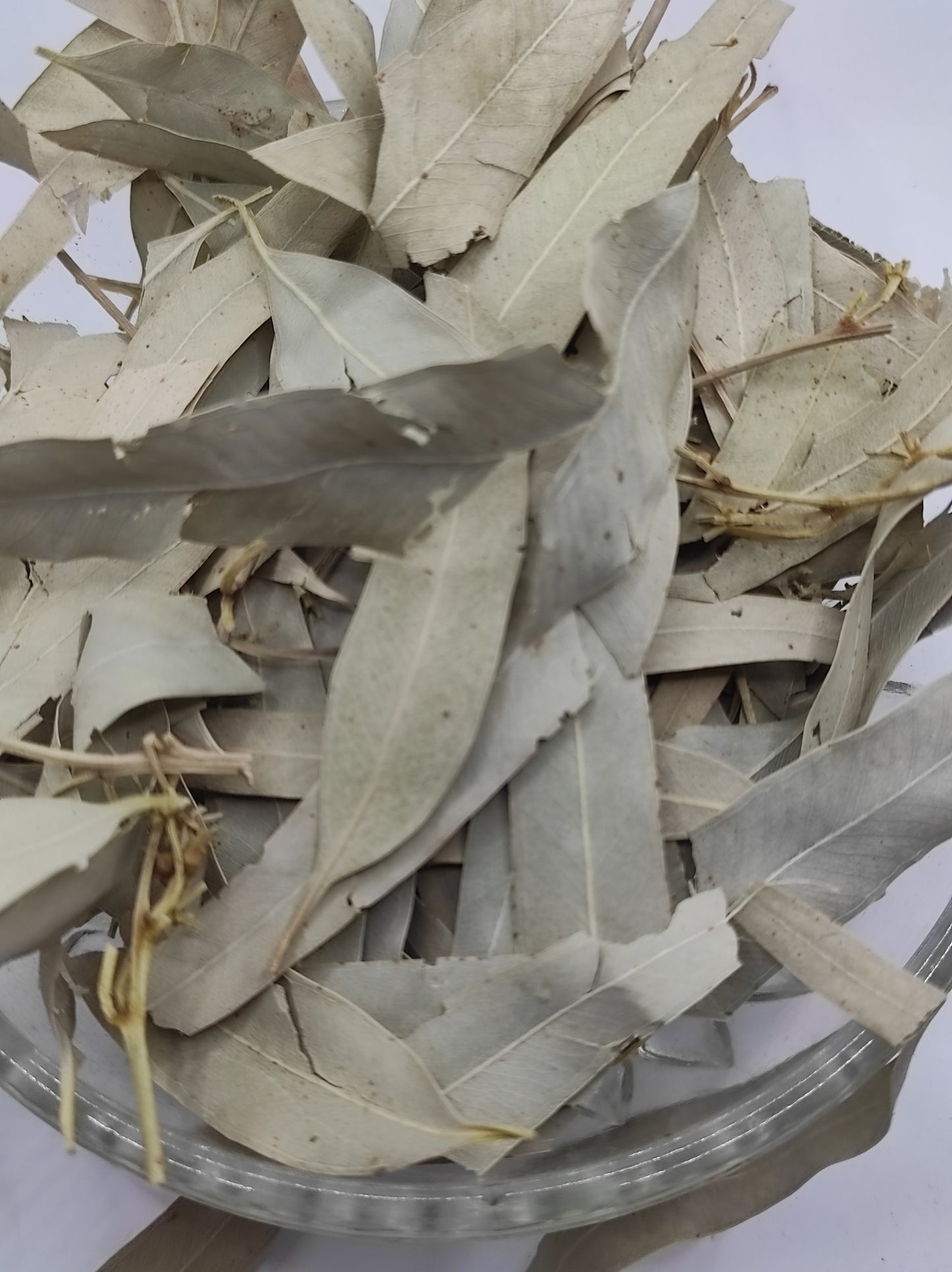Organic Dried Eucalyptus Leaf Tea Herb 100% Natural Herbal Infusion Eucalyptus globulus