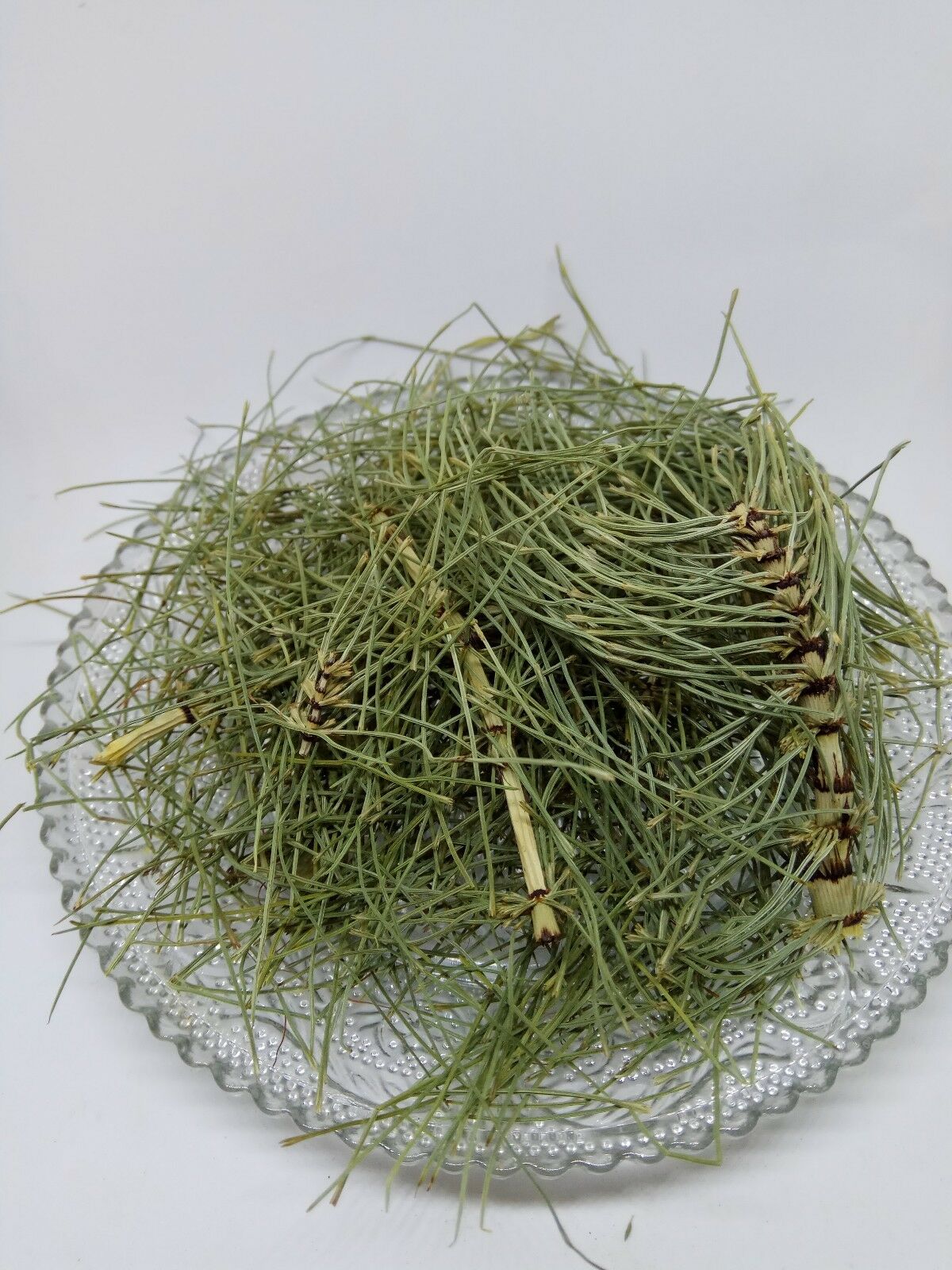 Horsetail Equisetum arvense dried Leaf Leaves Loose Herbal Organic Tea