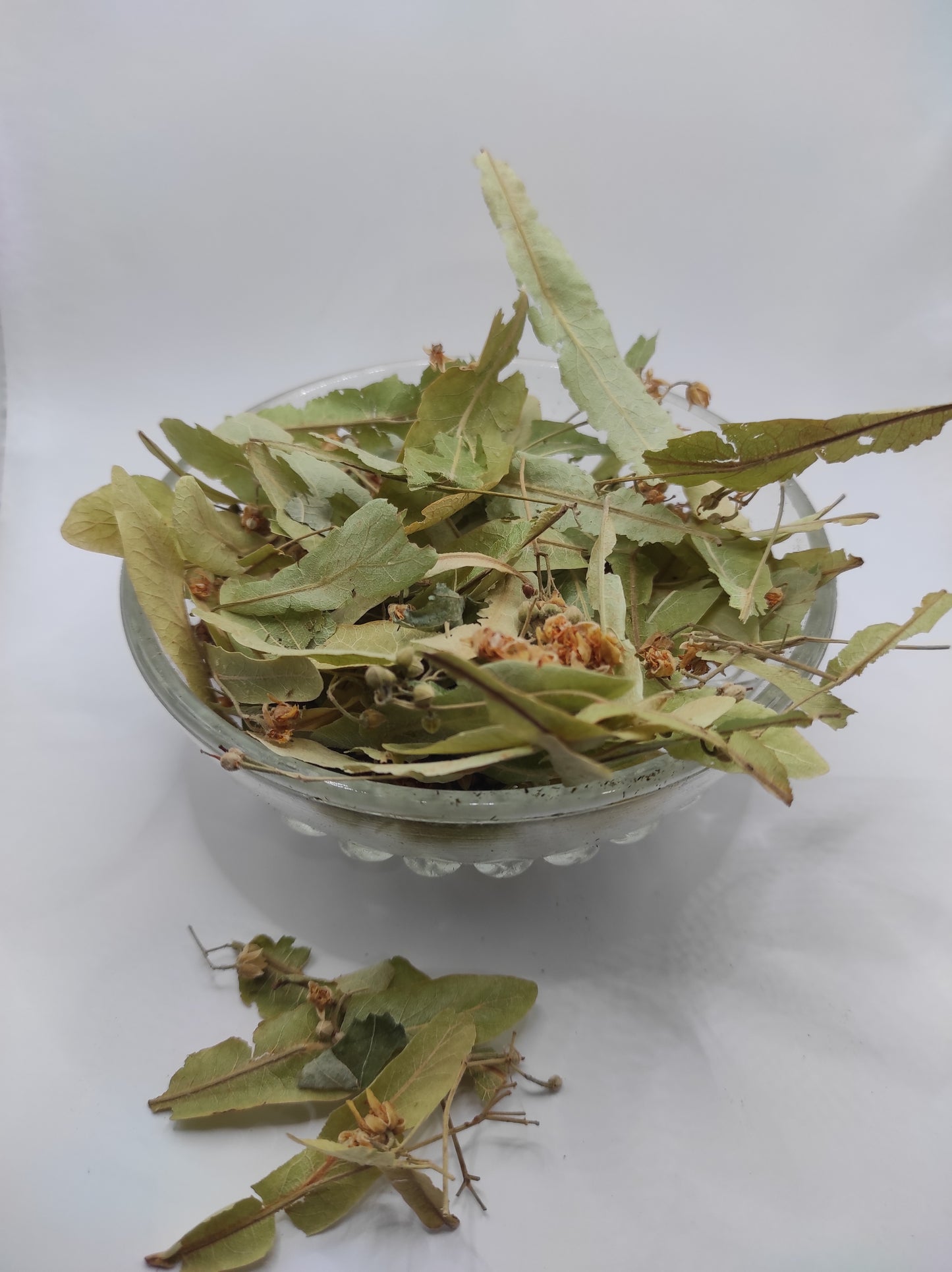 Linden flower bay Tilia Organic dried tea herb bio
