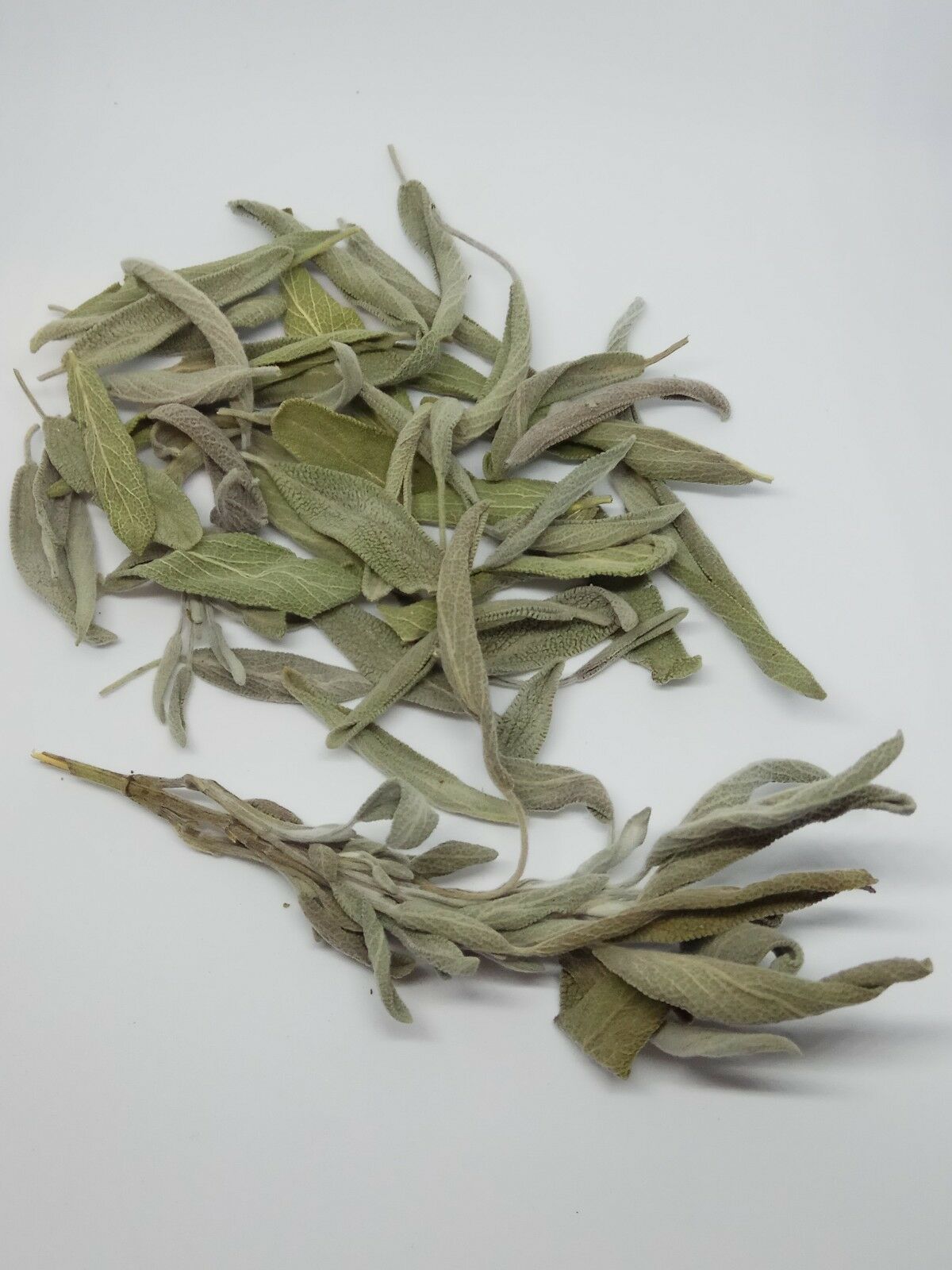 Sage leaf bay Salvia officinalis wild Organic dried tea bio