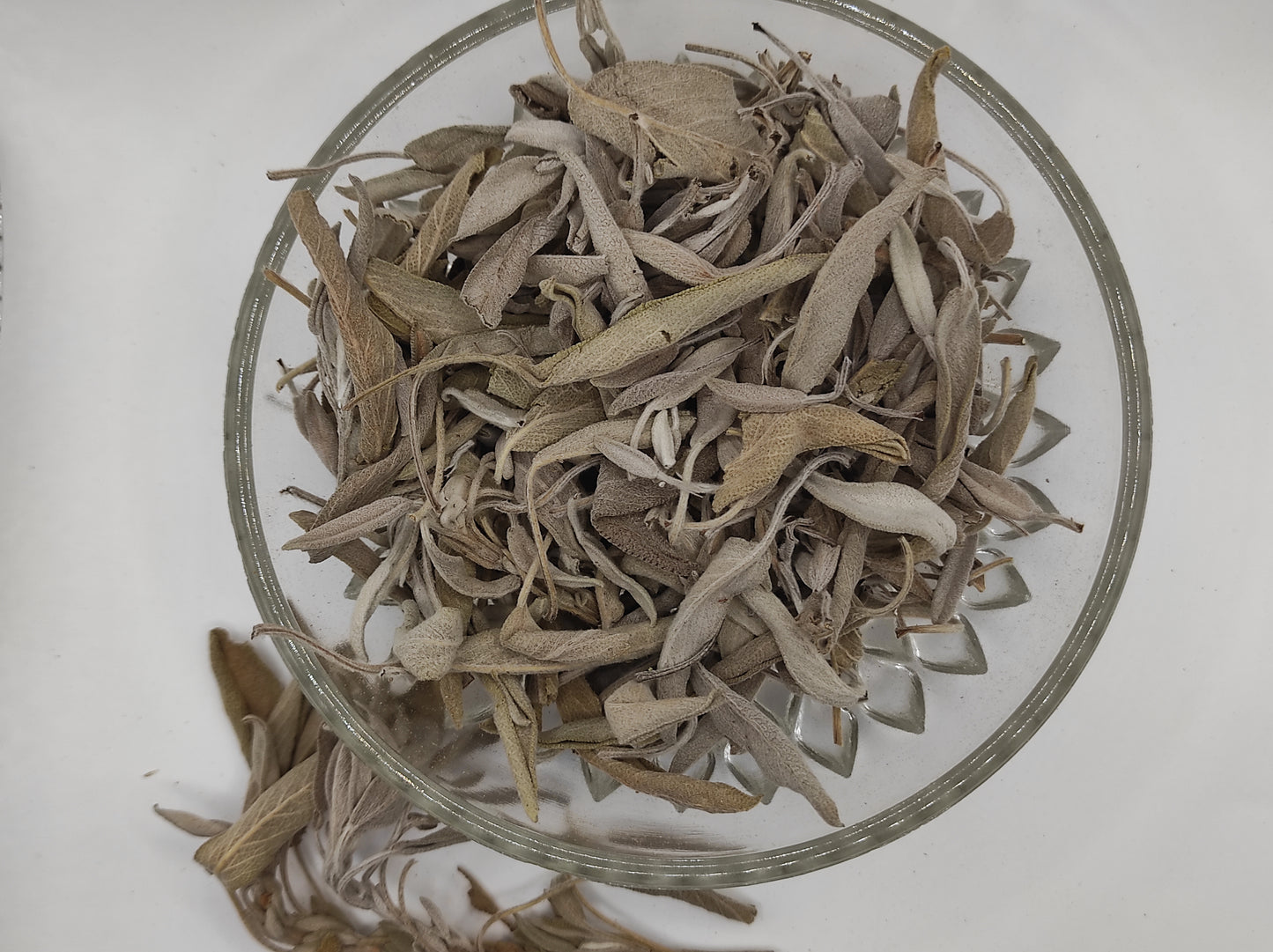 Sage leaf bay Salvia officinalis wild Organic dried tea bio