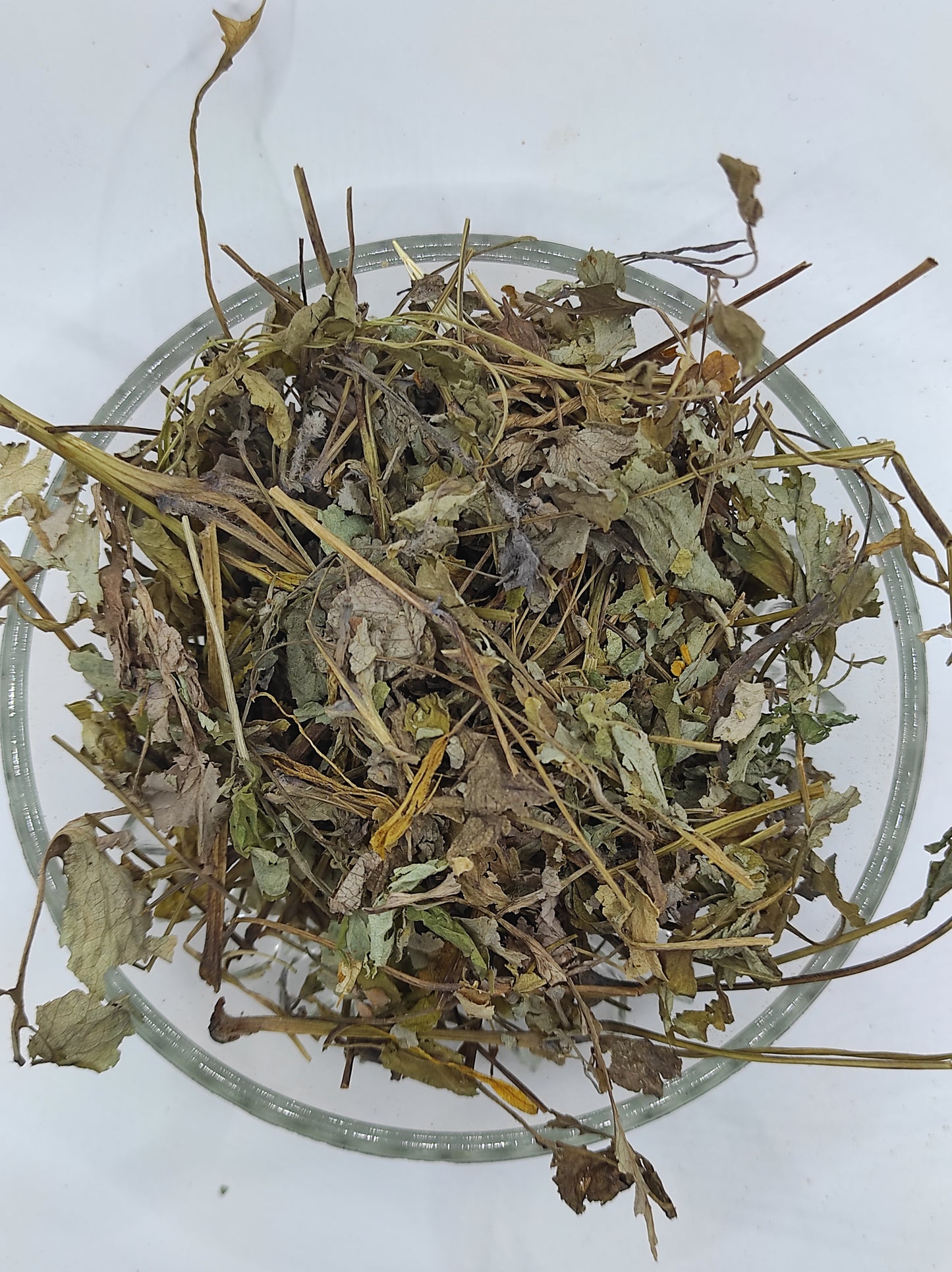 Greater Celandine Dried Herb ORGANIC Tea Chelidonium Majus