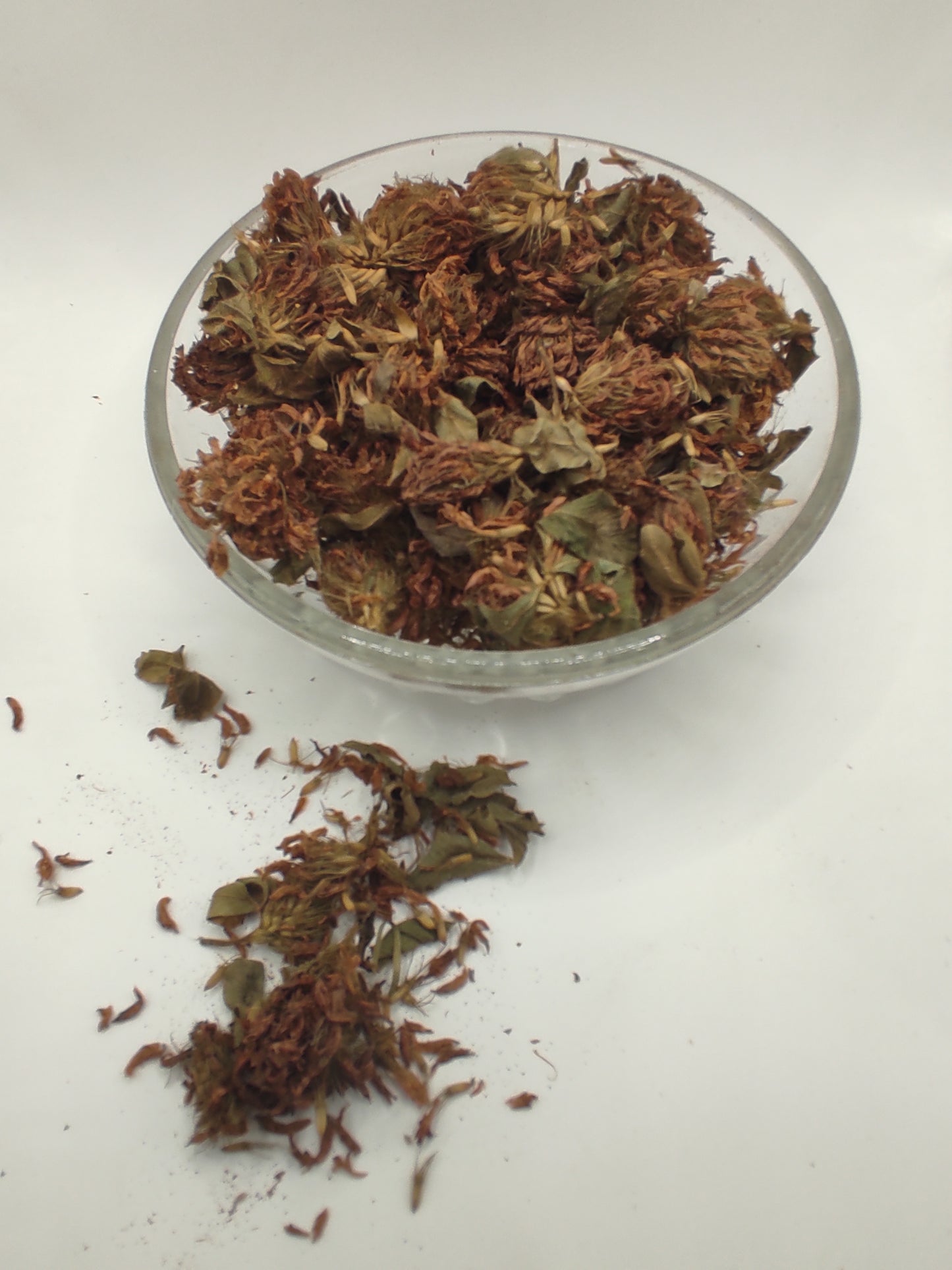 Organic Dried Red Clover Flowers Trifolium pratense Herbal Tea
