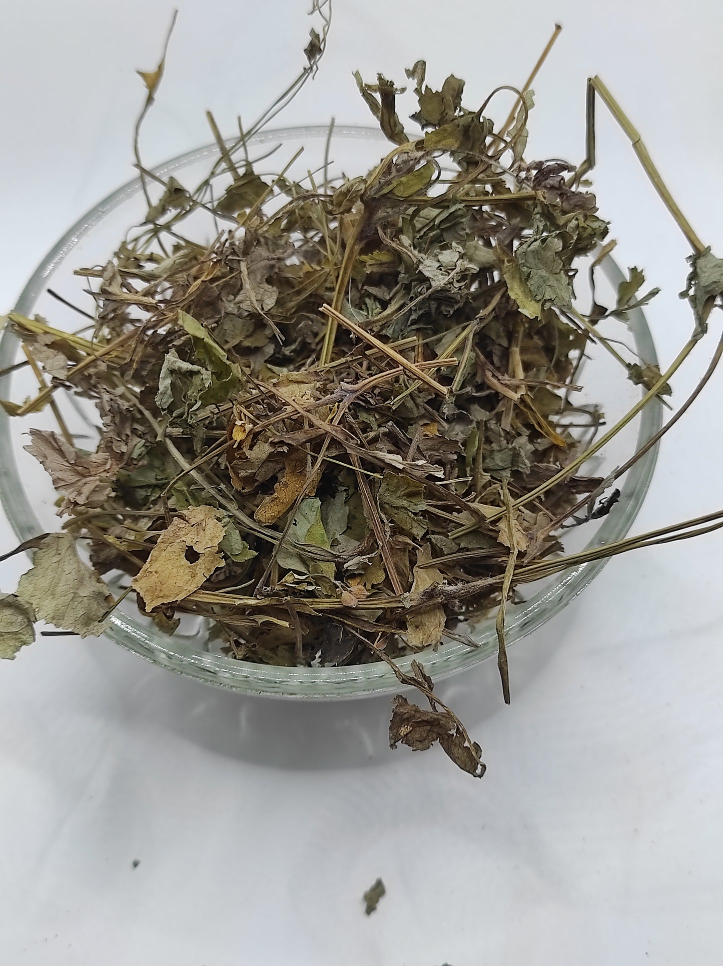 Greater Celandine Dried Herb ORGANIC Tea Chelidonium Majus