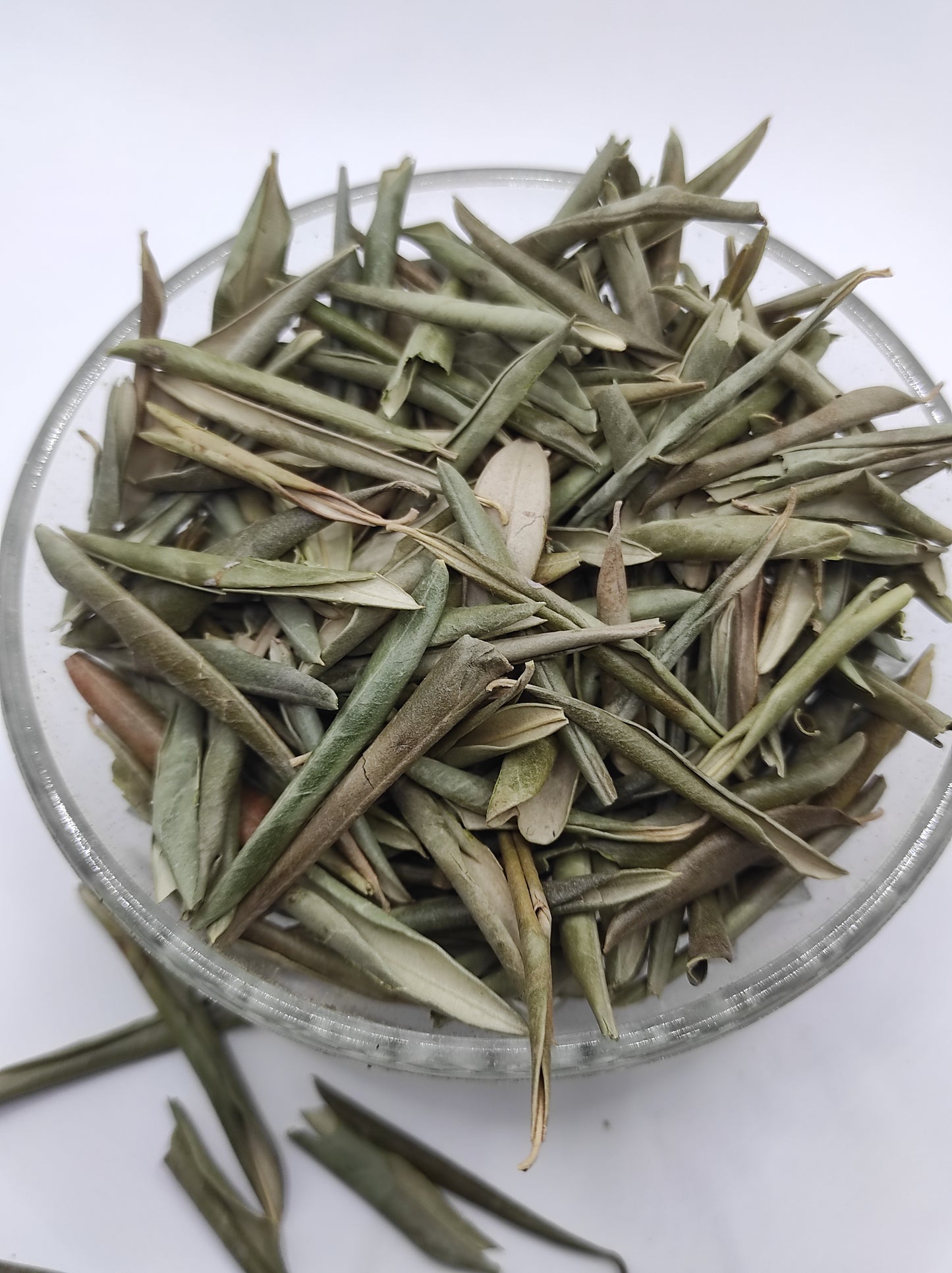 Organic Olive Leaf Tea Olea europaea Dried Leaves  Bio  Natural