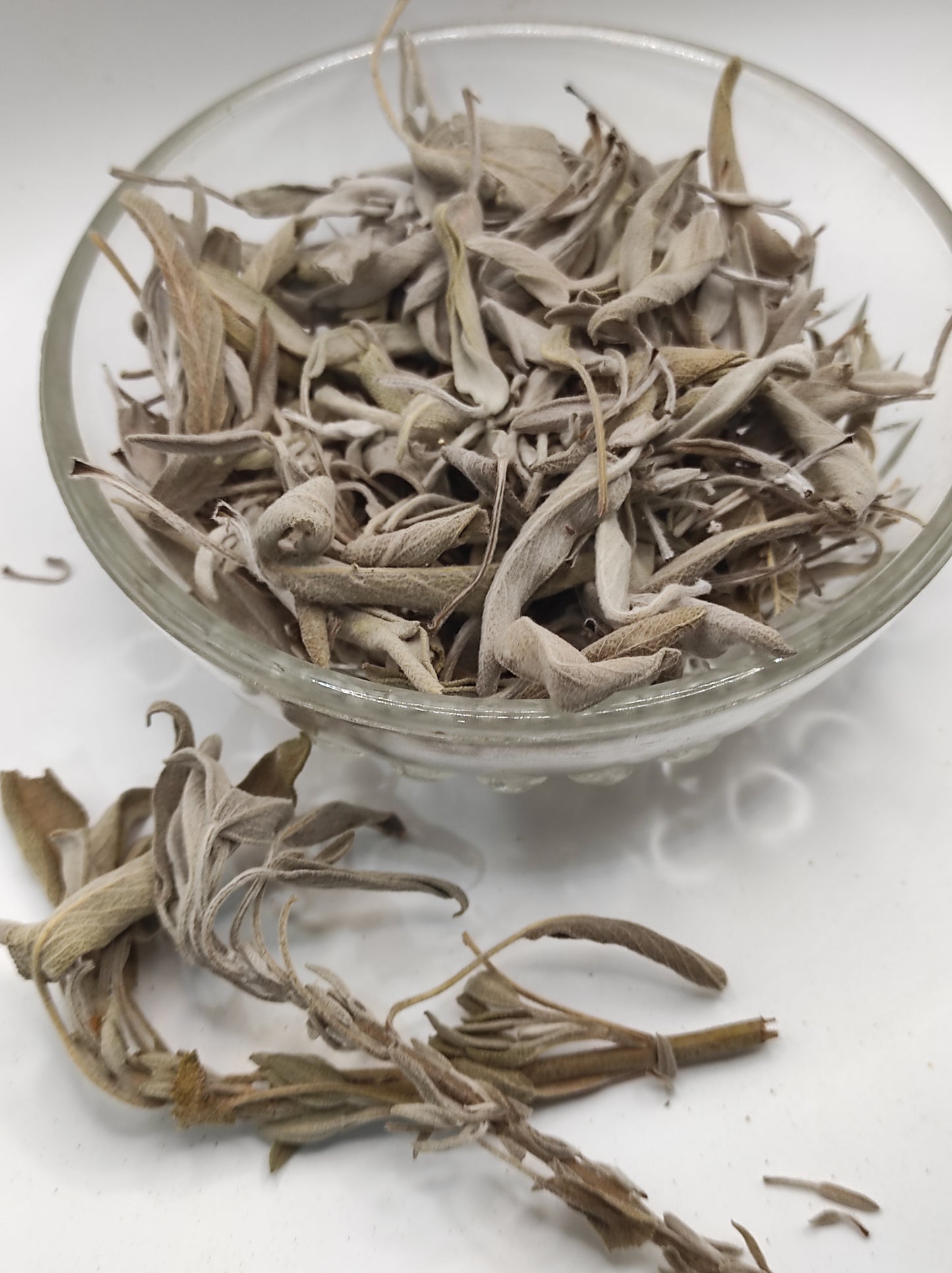 Sage leaf bay Salvia officinalis wild Organic dried tea bio