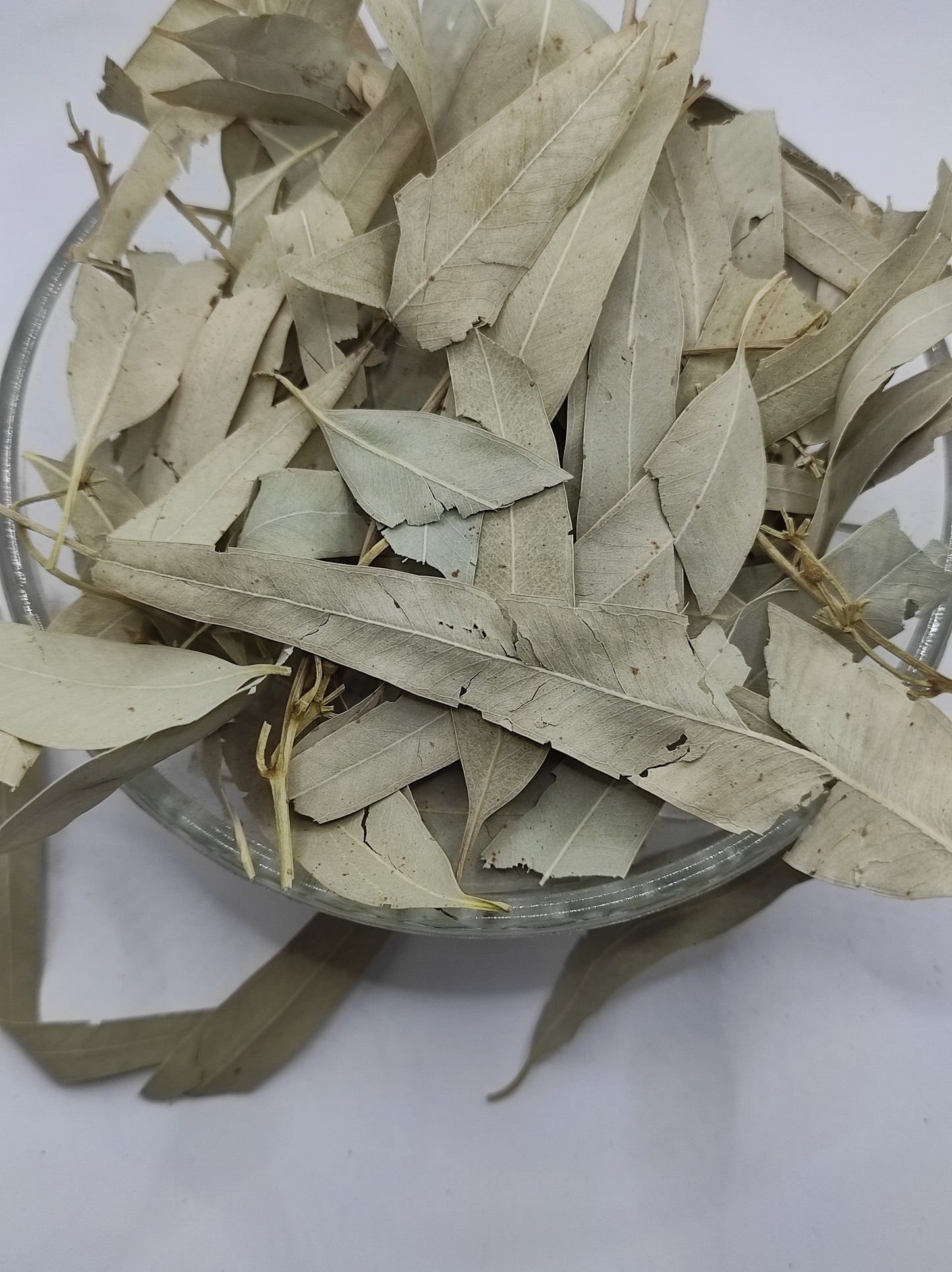 Organic Dried Eucalyptus Leaf Tea Herb 100% Natural Herbal Infusion Eucalyptus globulus