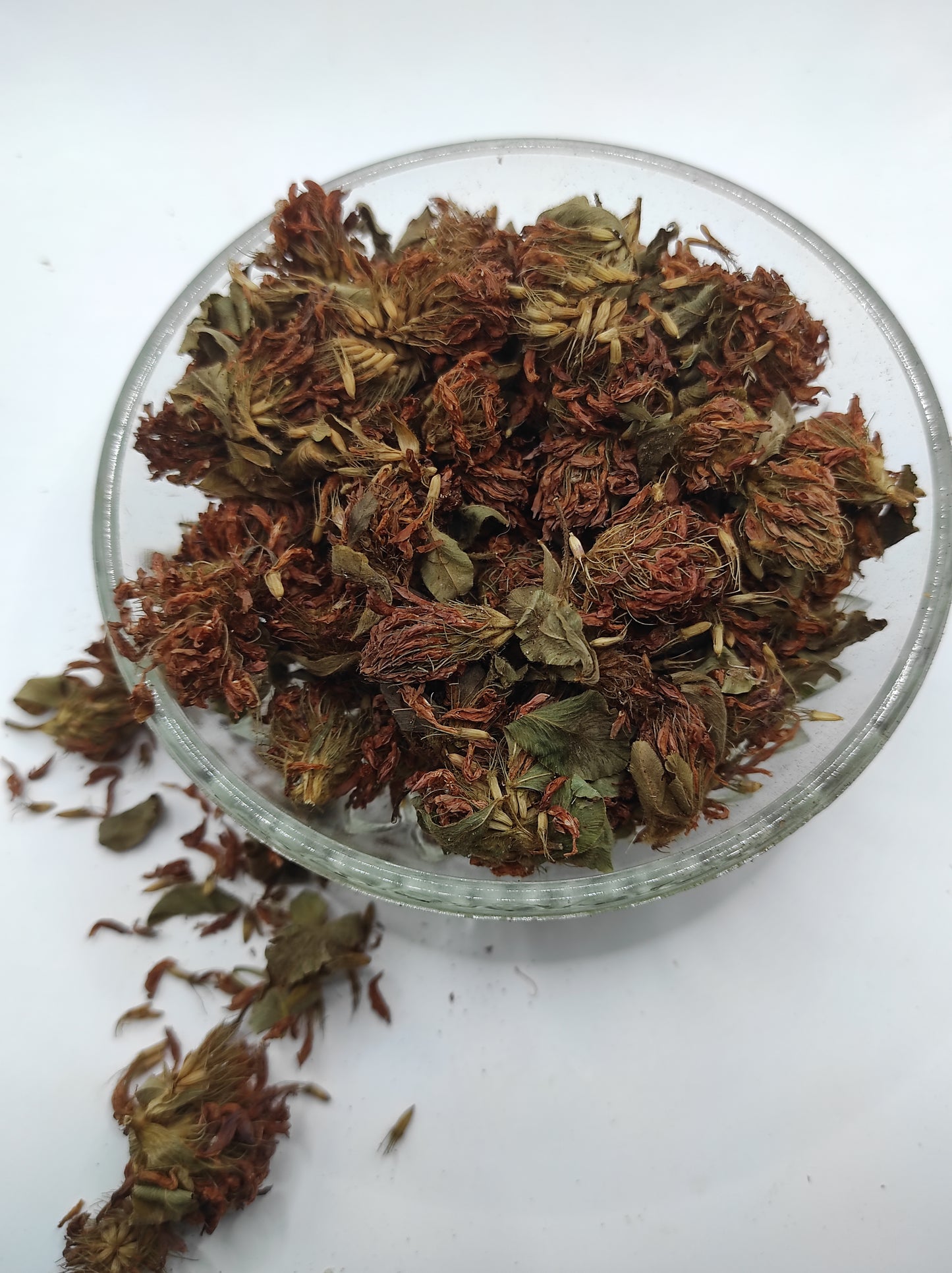 Organic Dried Red Clover Flowers Trifolium pratense Herbal Tea
