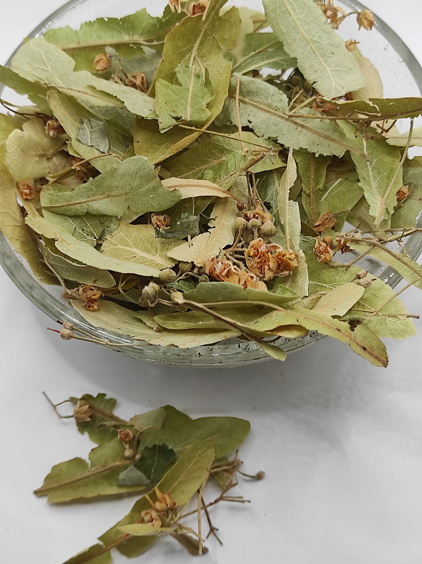 Linden flower bay Tilia Organic dried tea herb bio