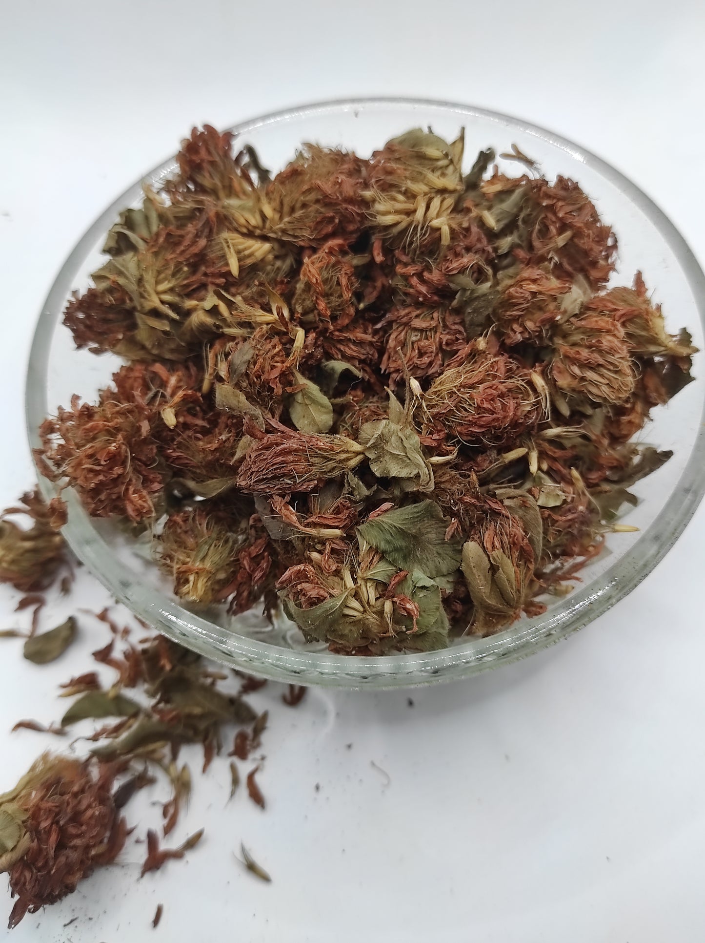 Organic Dried Red Clover Flowers Trifolium pratense Herbal Tea