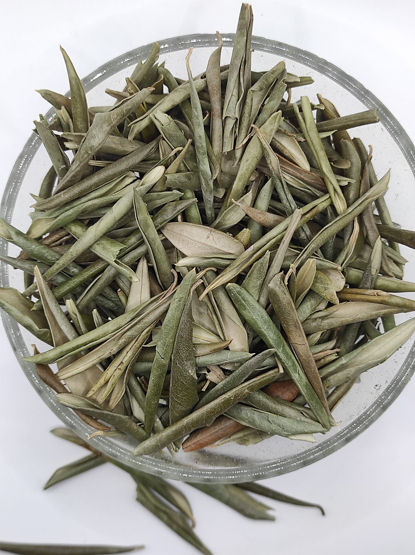 Organic Olive Leaf Tea Olea europaea Dried Leaves  Bio  Natural